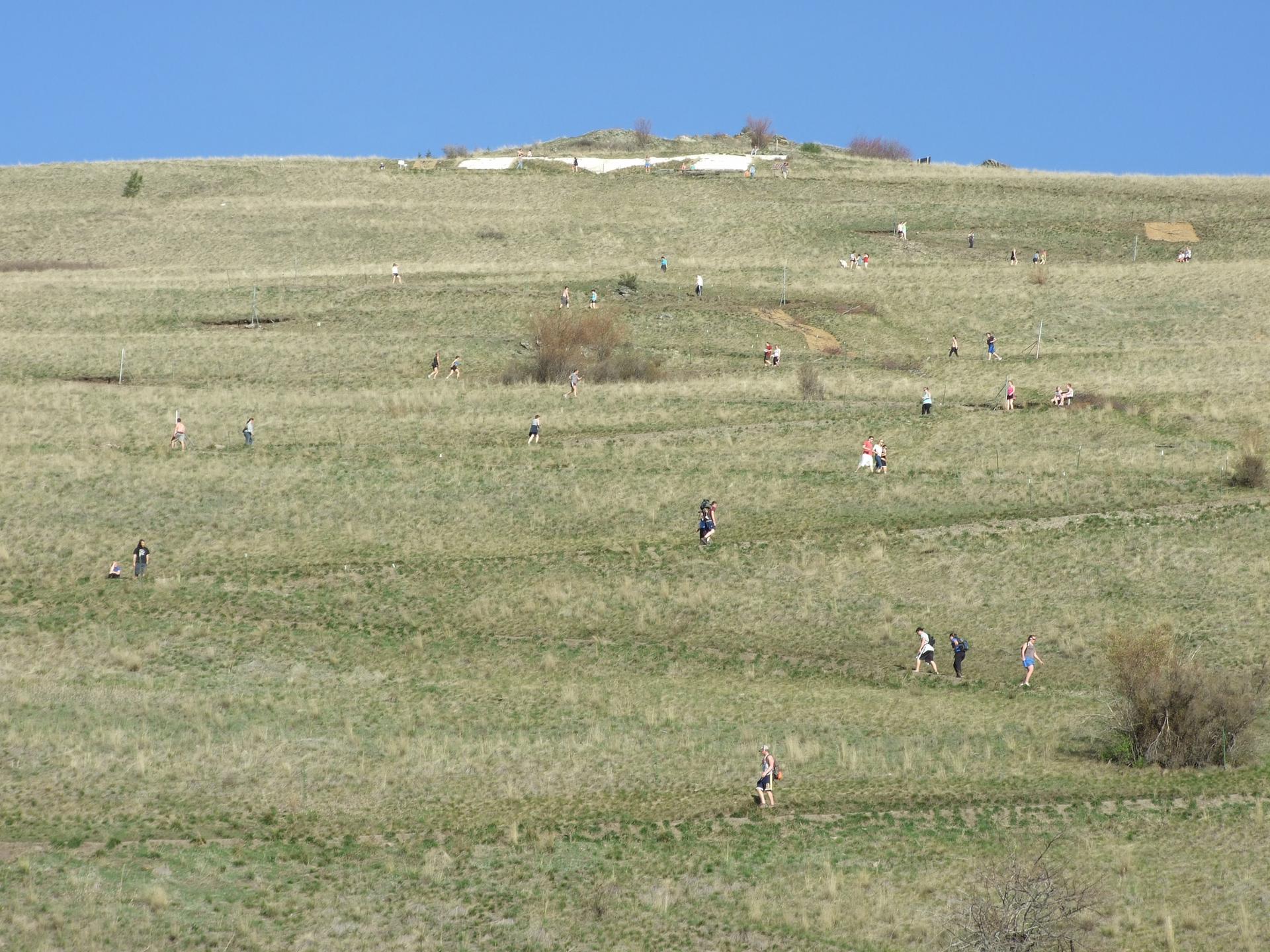 Many people walking and running on a vast grassy hillside under clear skies.