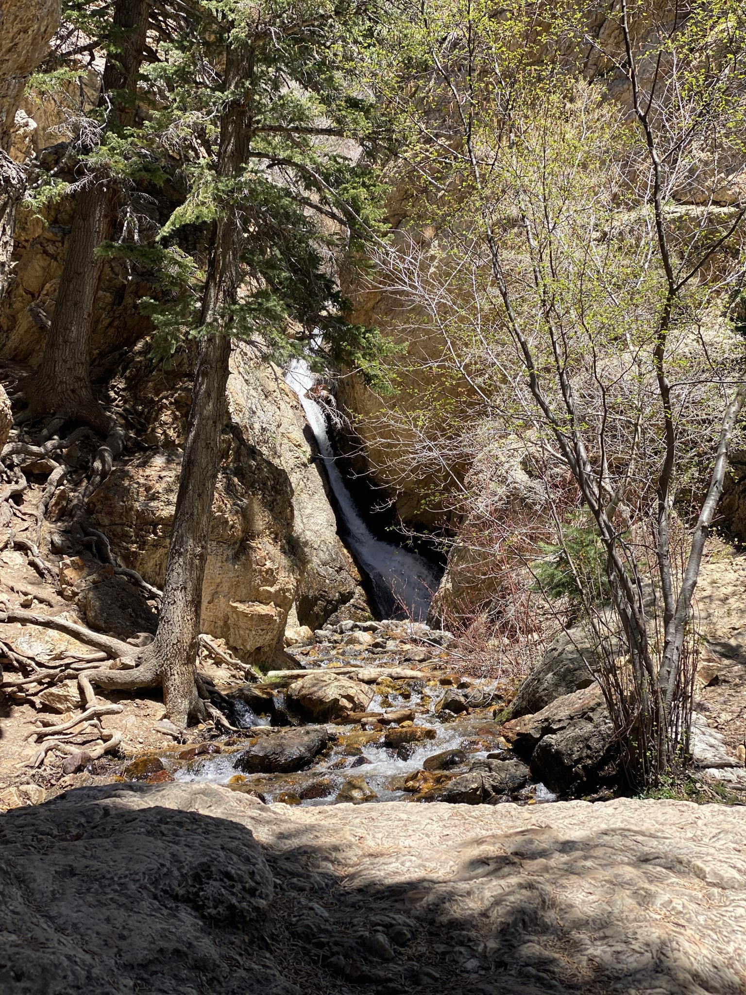 A narrow waterfall cascades into a rocky stream bed surrounded by trees.