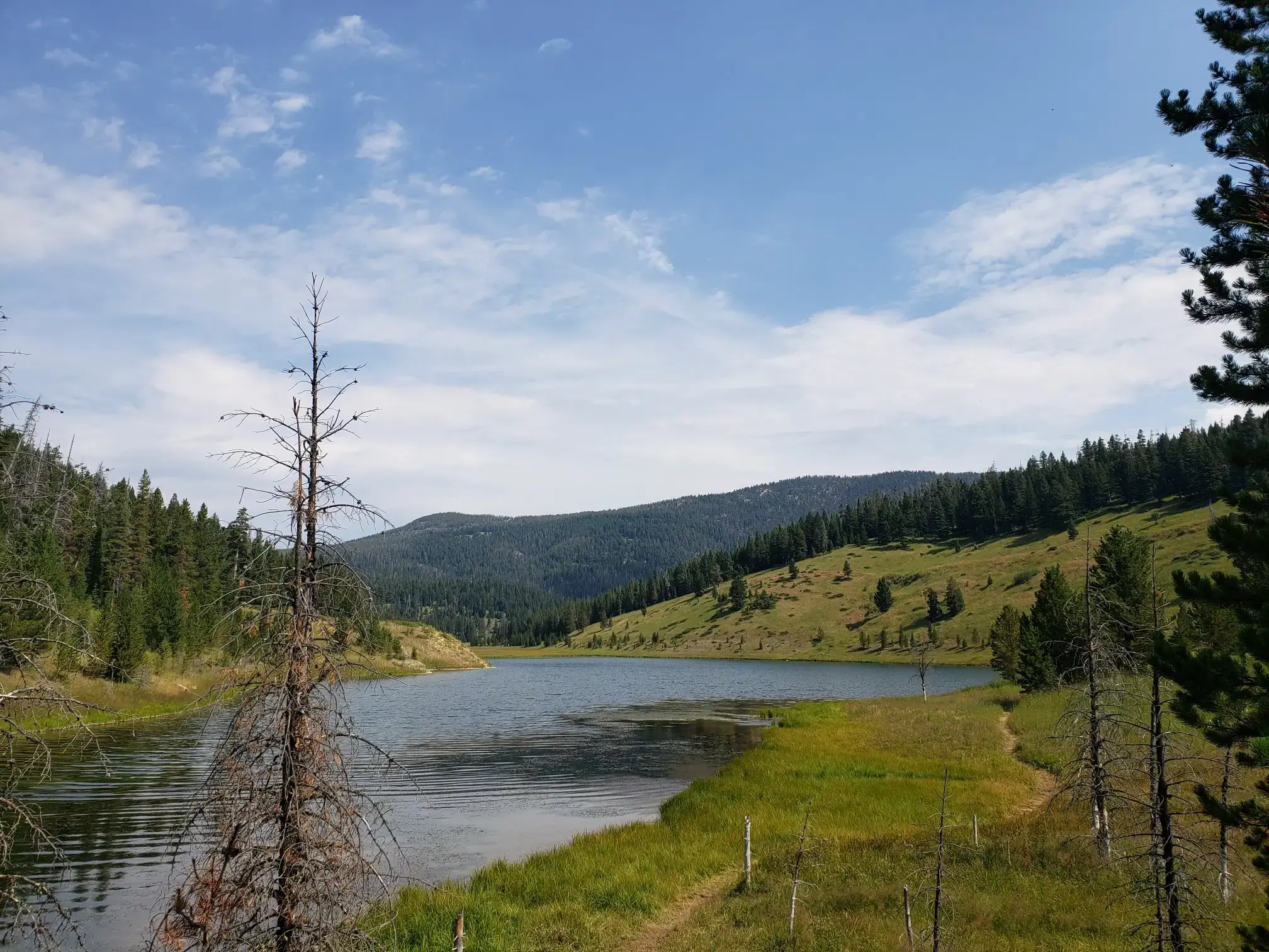 A serene lake surrounded by green hills and pine trees under a blue sky.