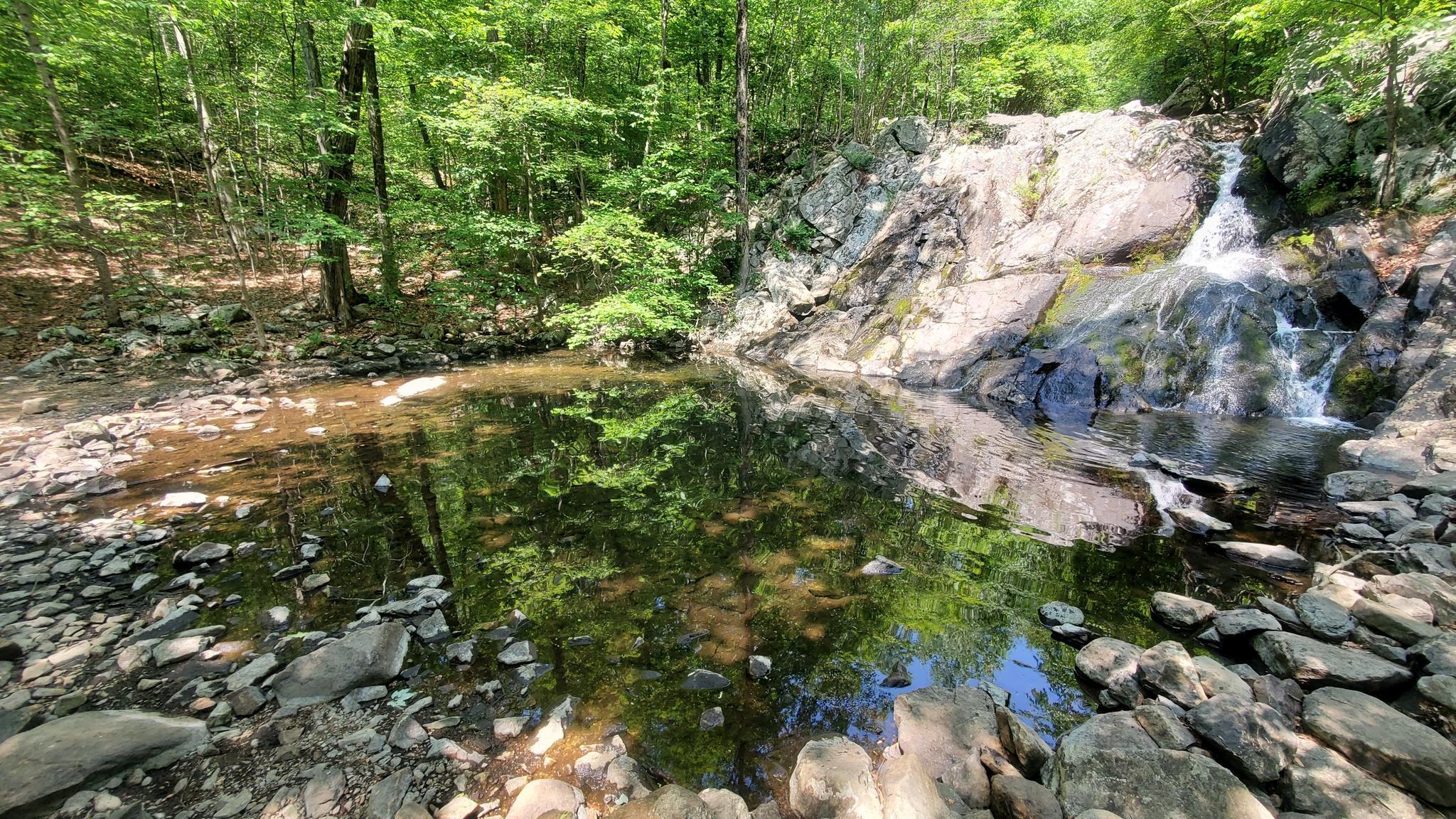 Sunny forest waterfall cascades into a clear, rocky pool surrounded by green trees.