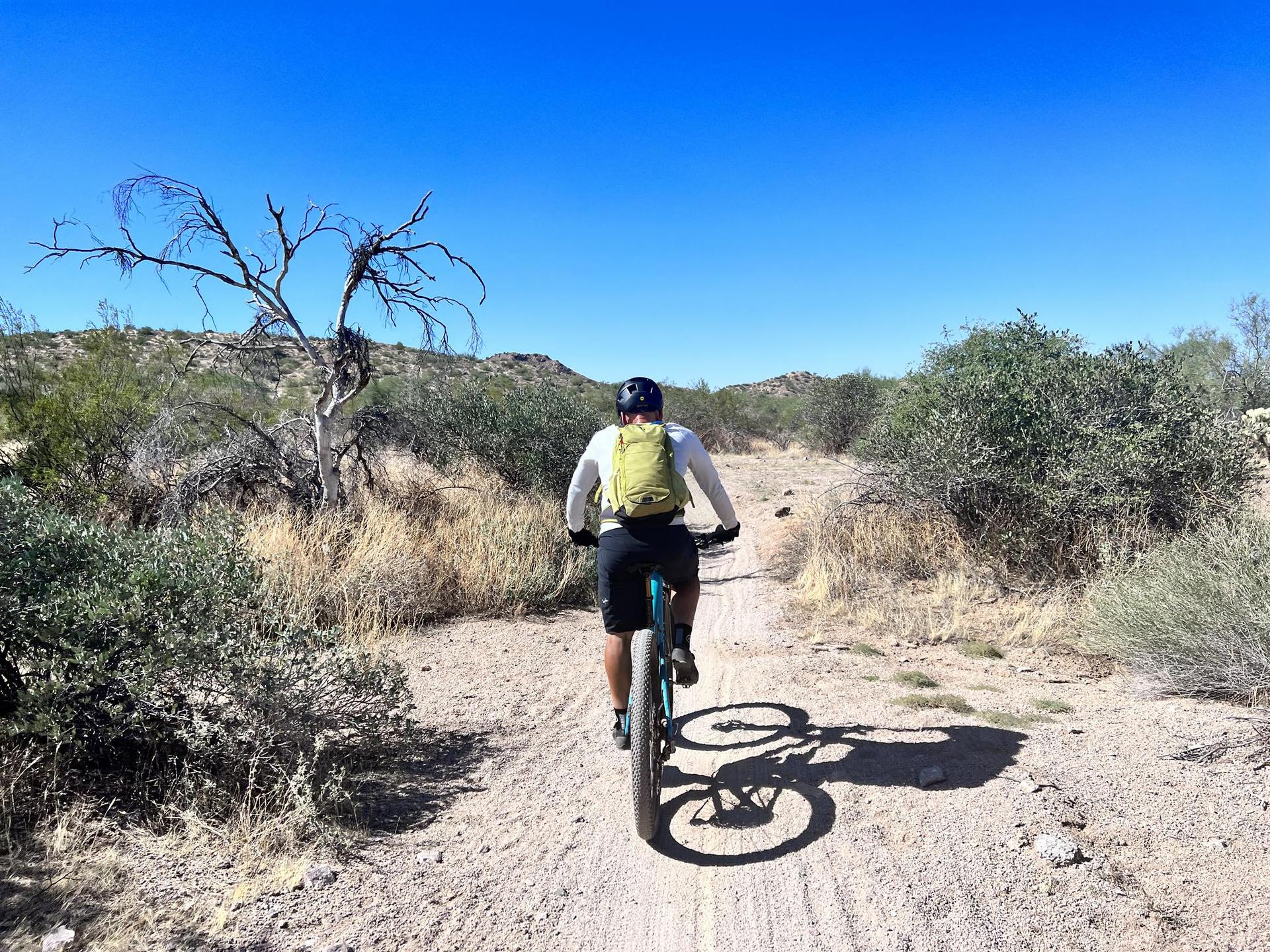 Person on a mountain bike riding away on a sunny desert trail.