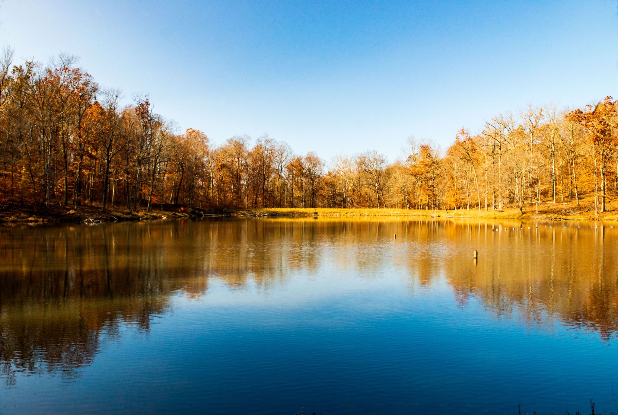 Calm lake reflecting autumn trees under a clear blue sky on a sunny day. - German Ridge Trail