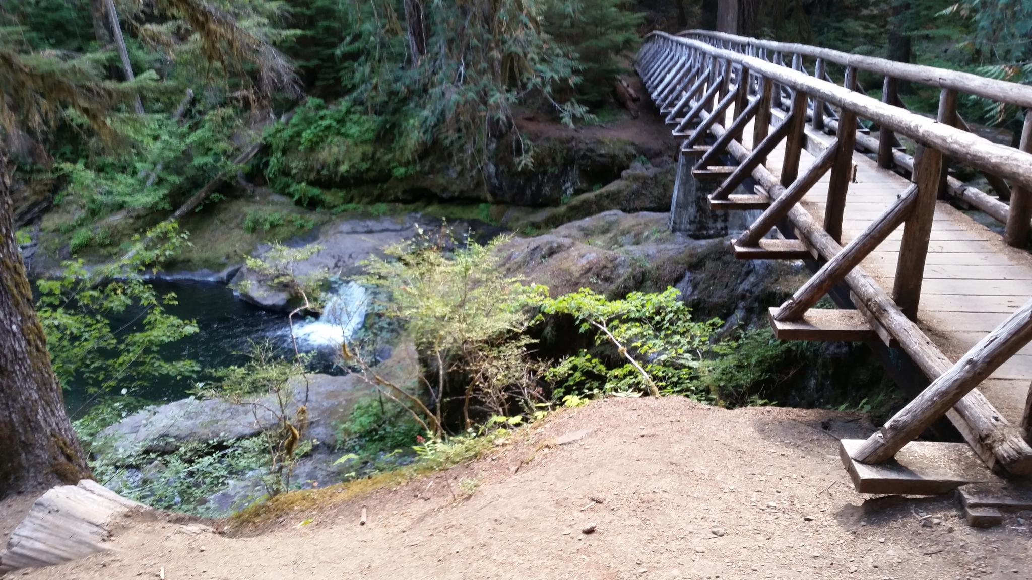 Wooden footbridge over a dark river with small waterfall in a green forest.