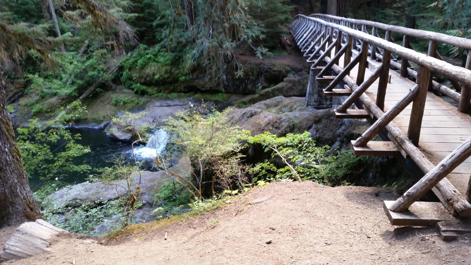 Wooden footbridge over a dark river with small waterfall in a green forest.