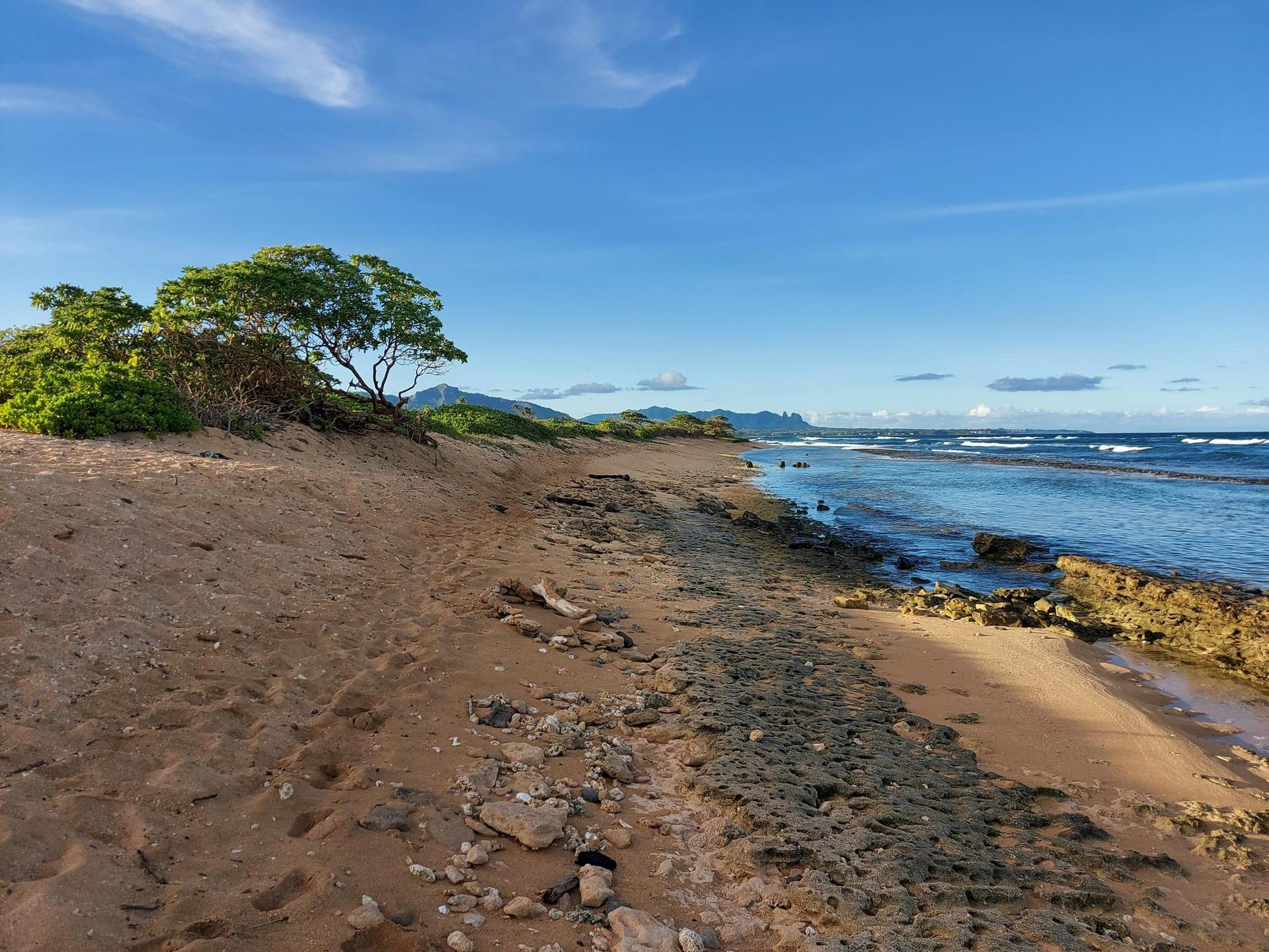 A sandy and rocky beach next to a blue ocean under a clear sky.