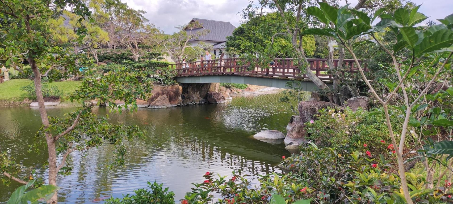 A wooden bridge spans a calm pond surrounded by lush green trees.