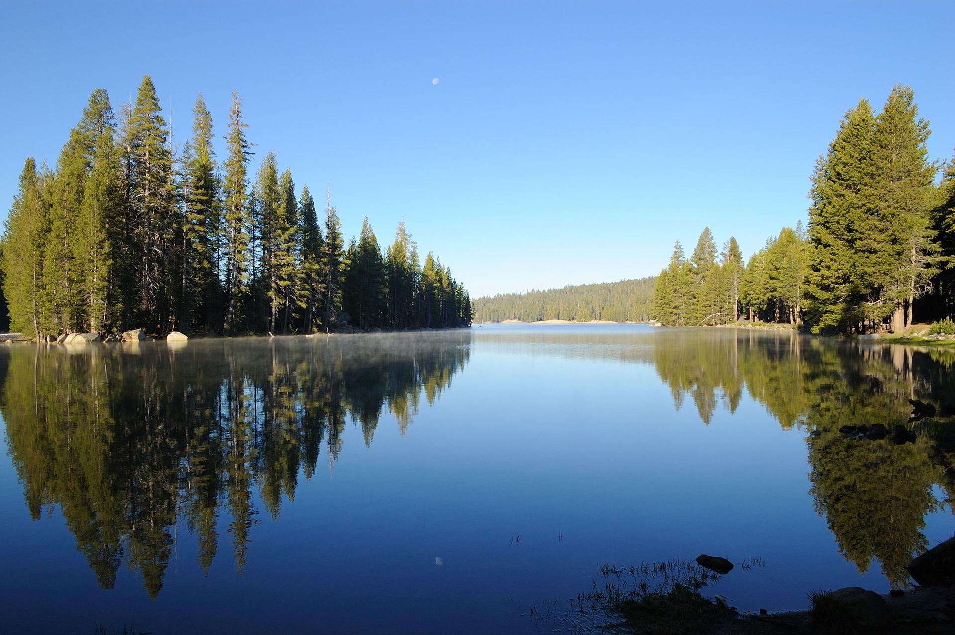 Calm lake reflecting green pine trees under a clear blue sky.
