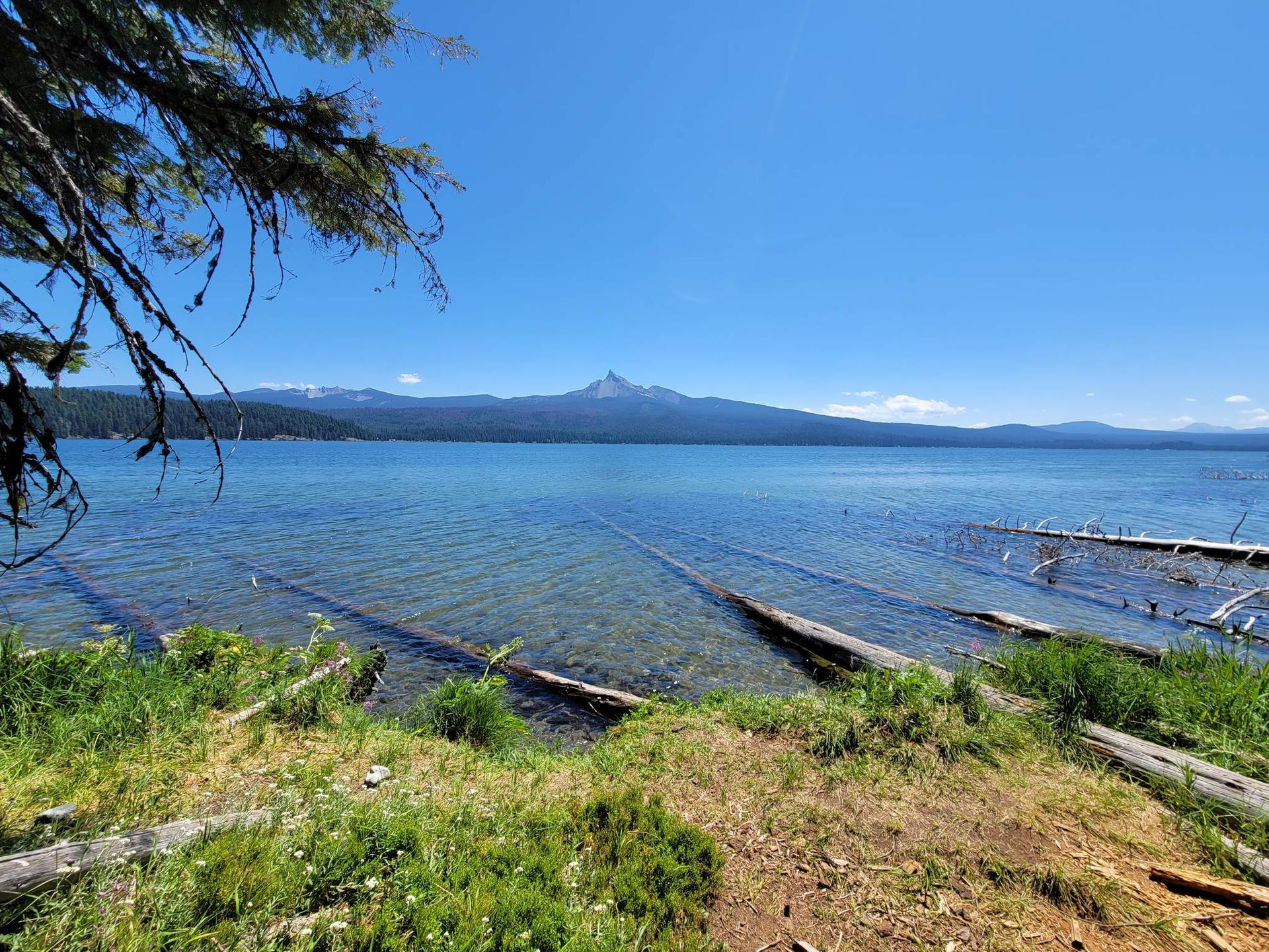Clear lake with submerged logs, forested shore, and distant mountains under blue sky.