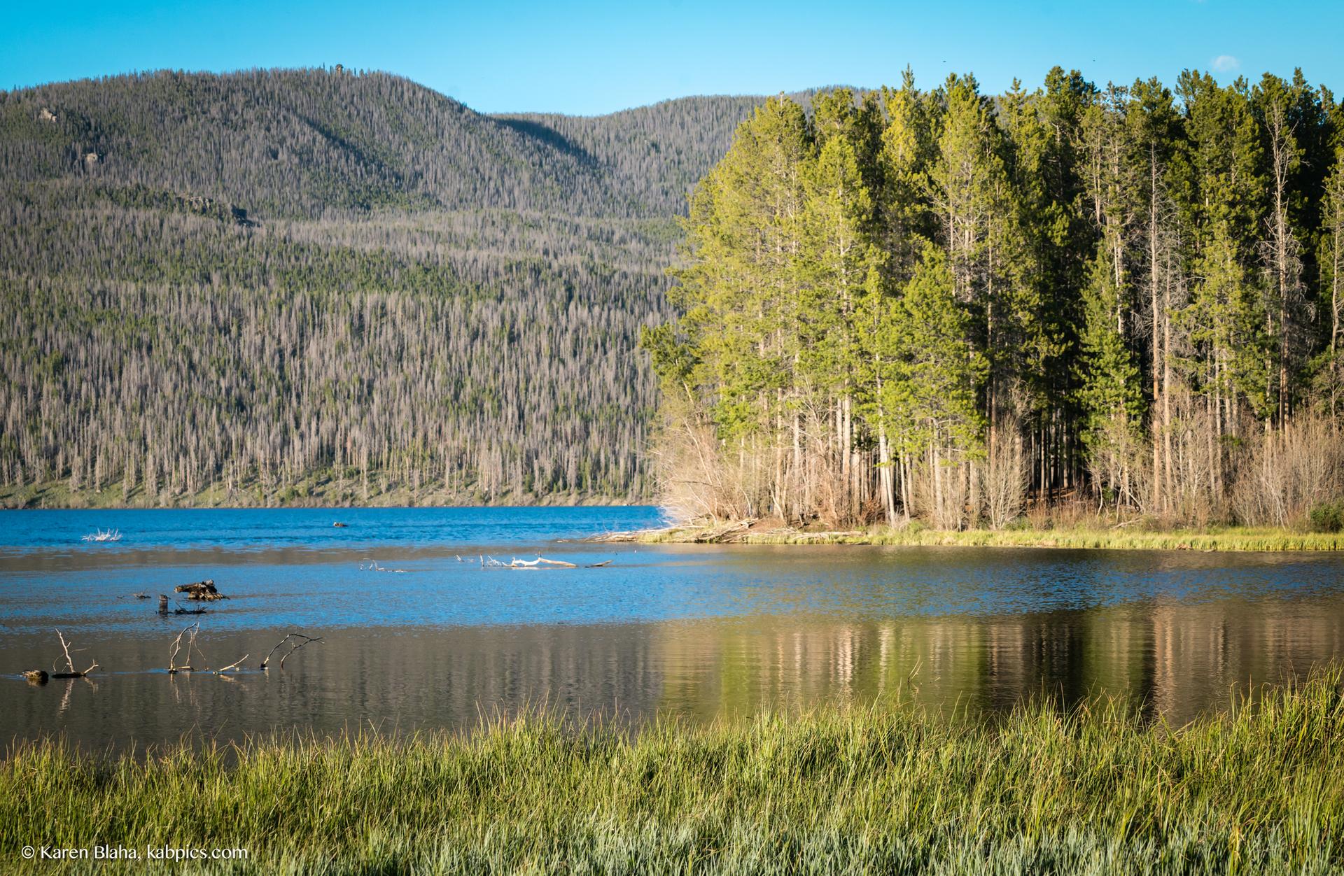 A clear blue lake bordered by green trees and distant mountains under a sunny sky.