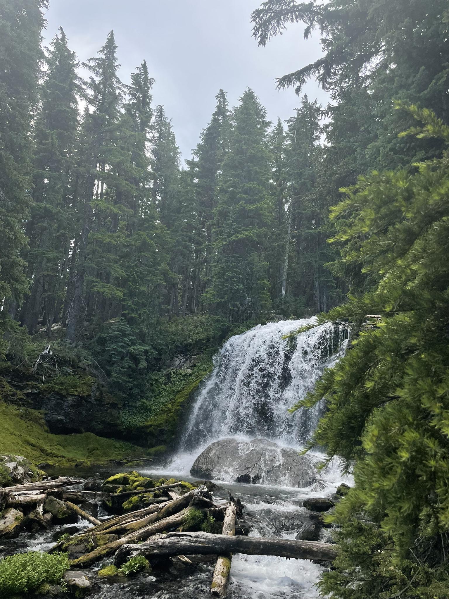 Wide waterfall plunges into a rocky stream with fallen logs, surrounded by forest.