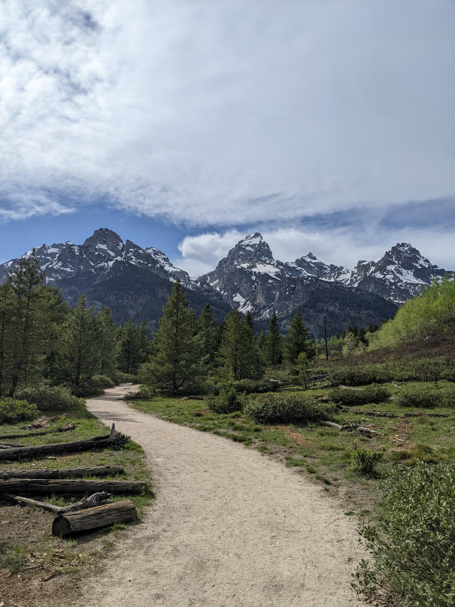 Dirt path leading to snow-capped mountains and green forests under a cloudy sky.