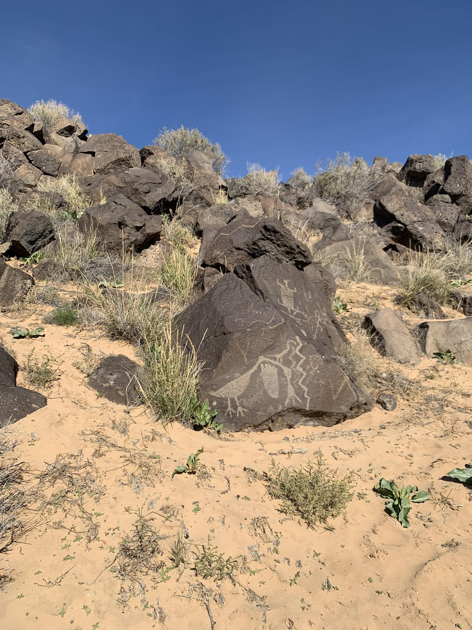 A large rock with ancient carvings on a sandy, rocky hillside.