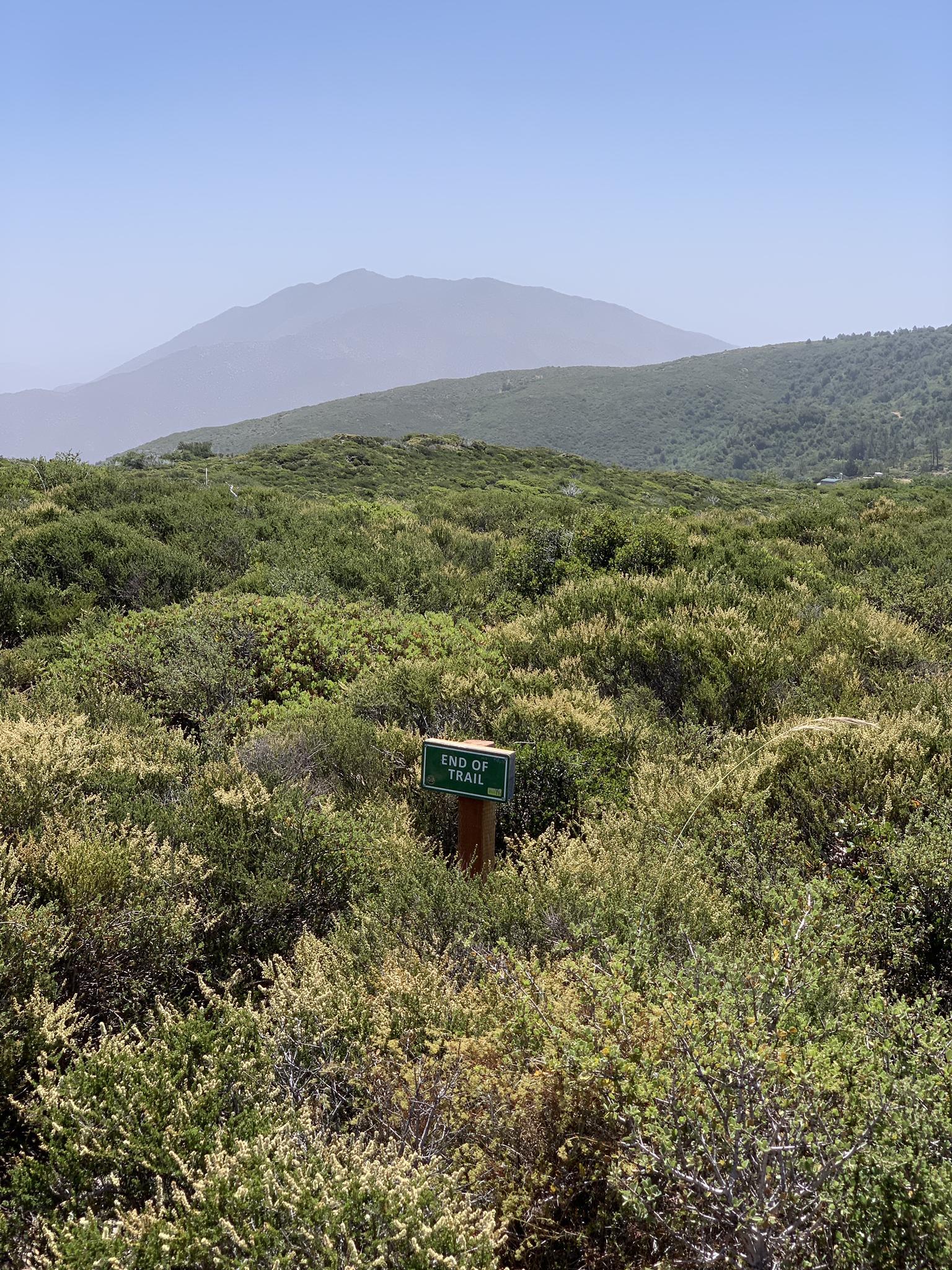 A green 'End of Trail' sign stands amidst dense green and yellow shrubs.