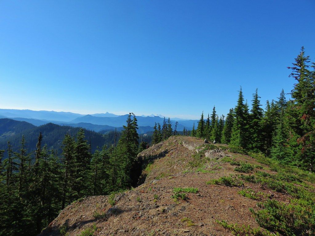 Dirt path on a forested ridge overlooking hazy distant mountains under a clear blue sky. - French Creek Trail
