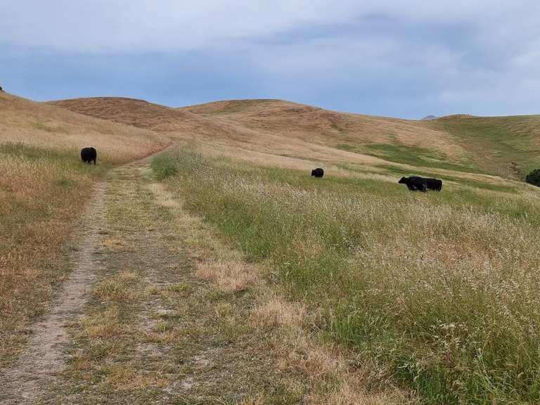 Vargas Plateau Viewpoint via Golden Eagle Trail & Upper Ranch Trail ...