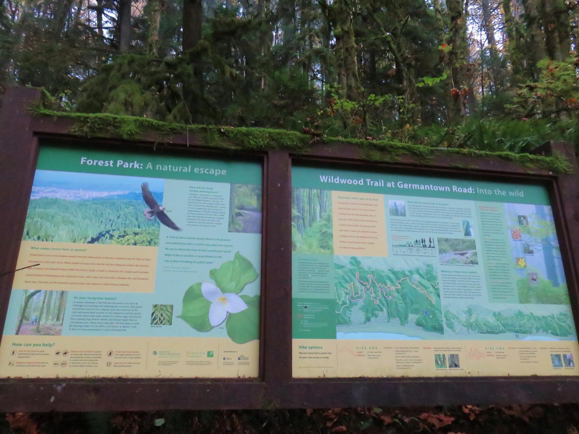 Two large information signs about a forest trail under a green canopy.