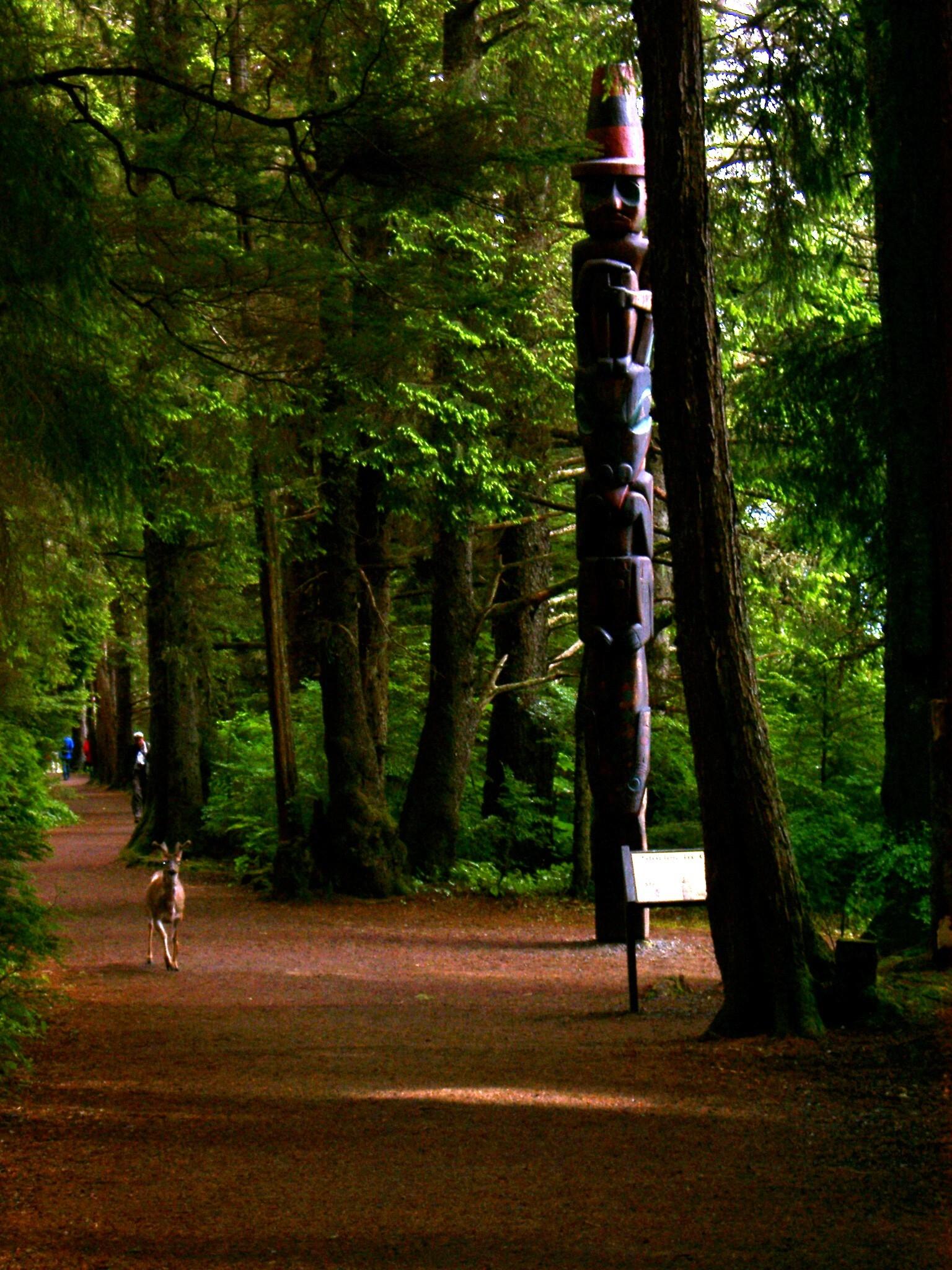A totem pole and a deer on a sun-dappled forest path.