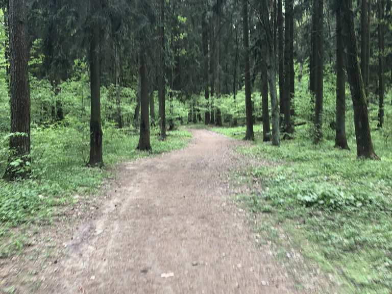 Road cross the Malinauka Forest Radtouren und Radwege komoot