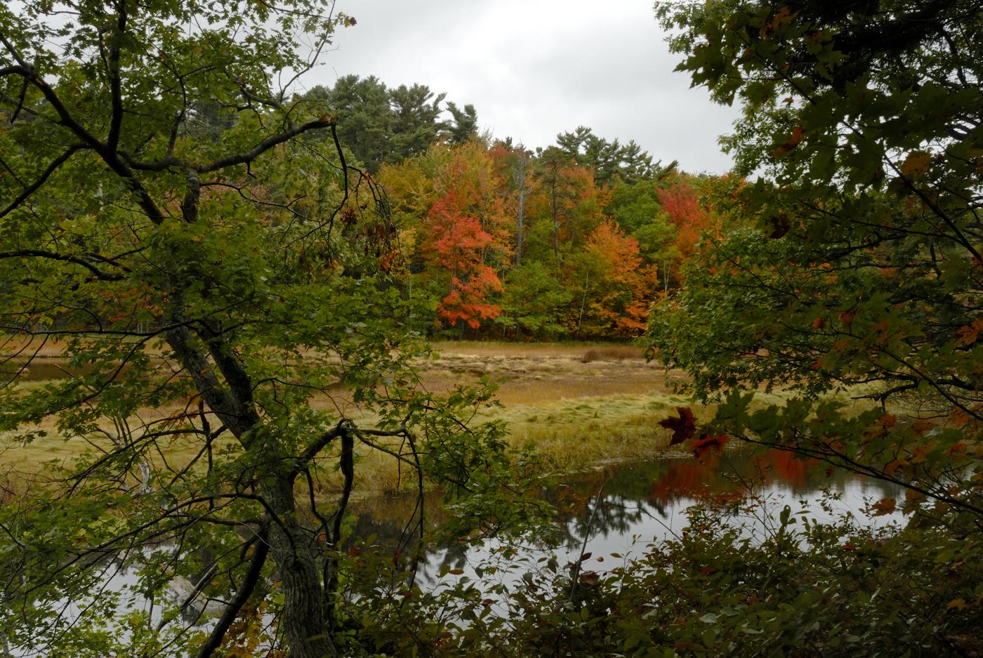 Overcast view of a still river reflecting vibrant autumn trees.