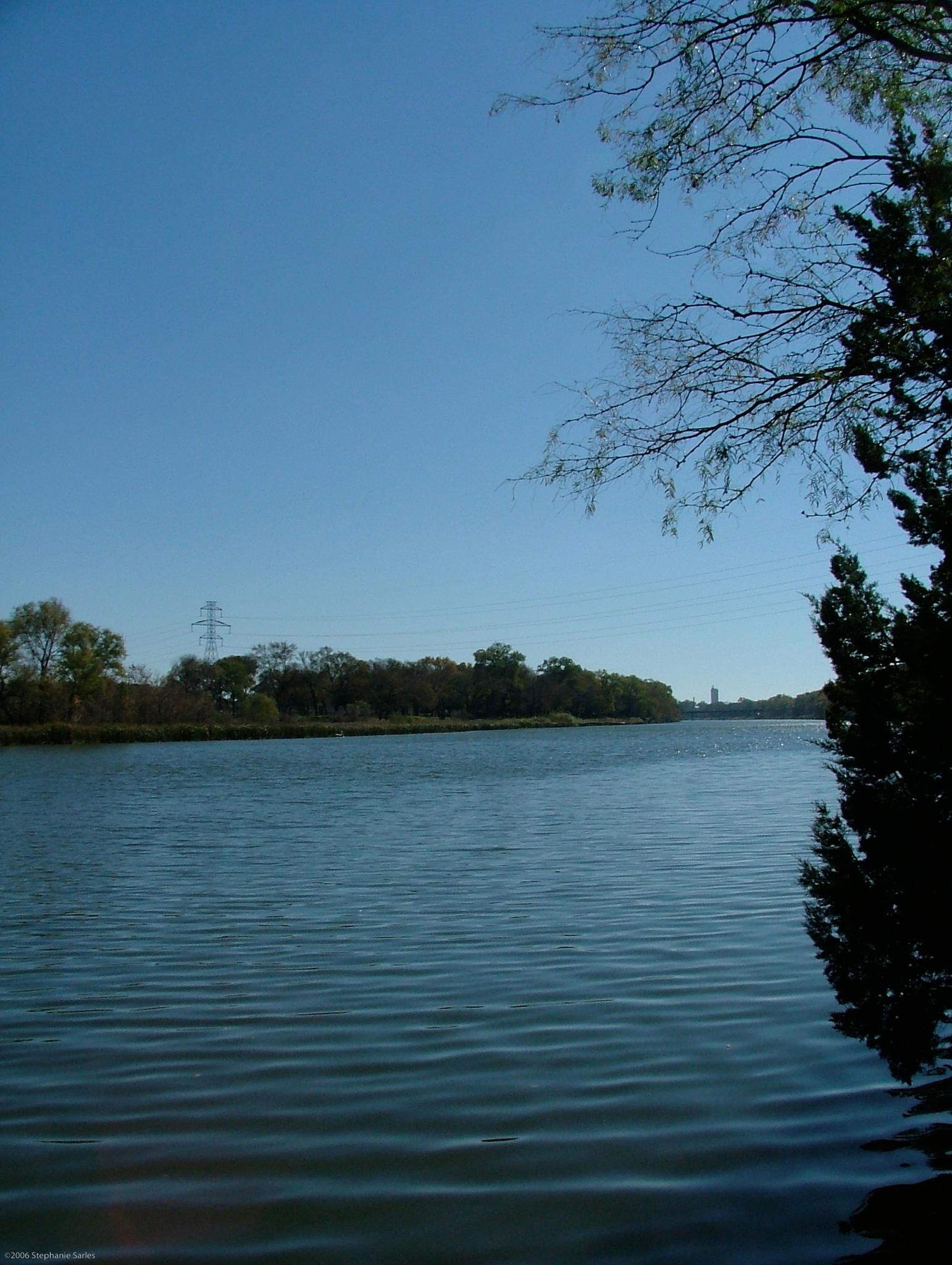 Wide calm water under a clear blue sky, with trees on the far bank.
