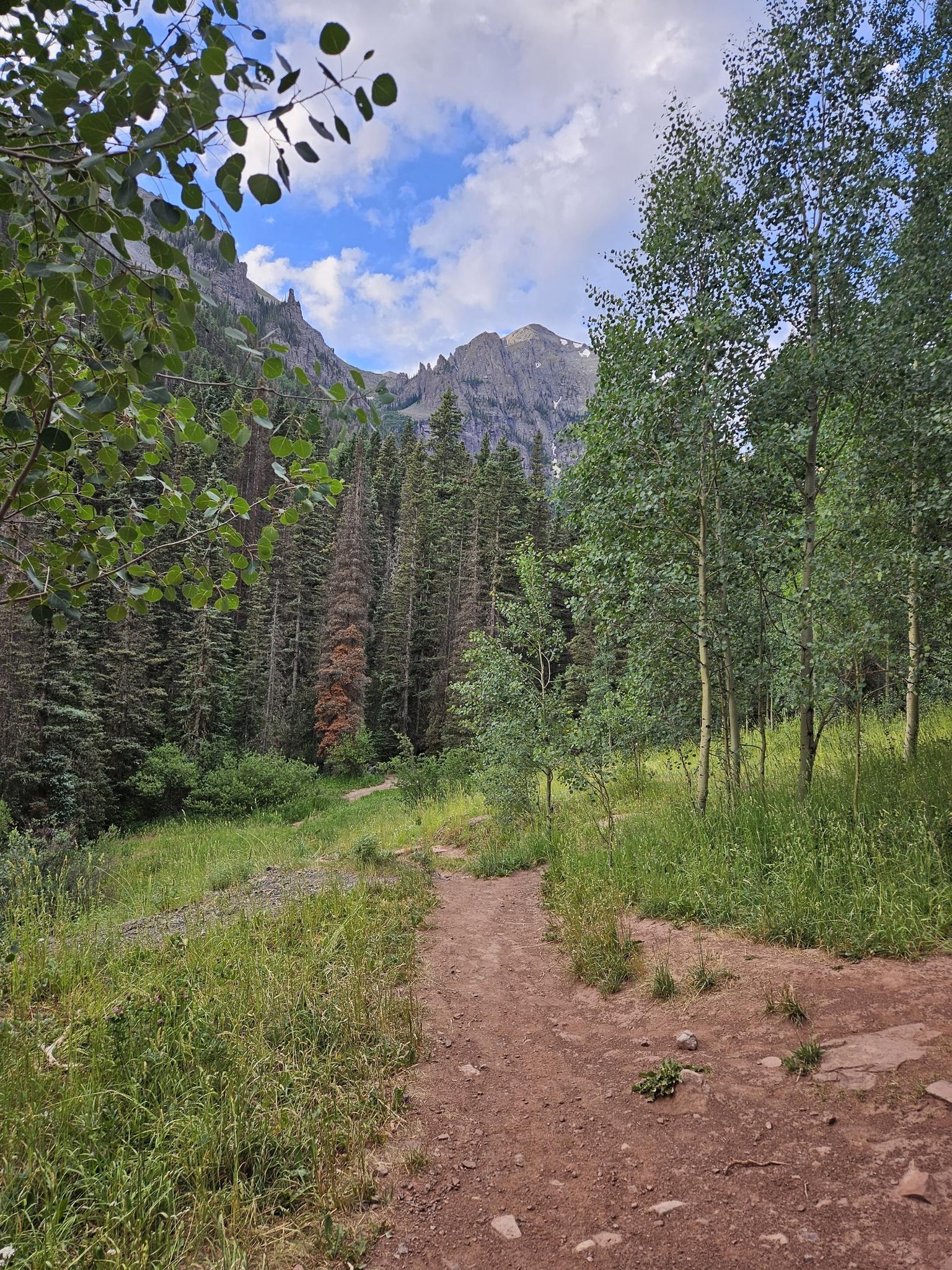 A dirt path winds through a green forest towards distant mountains under clouds.