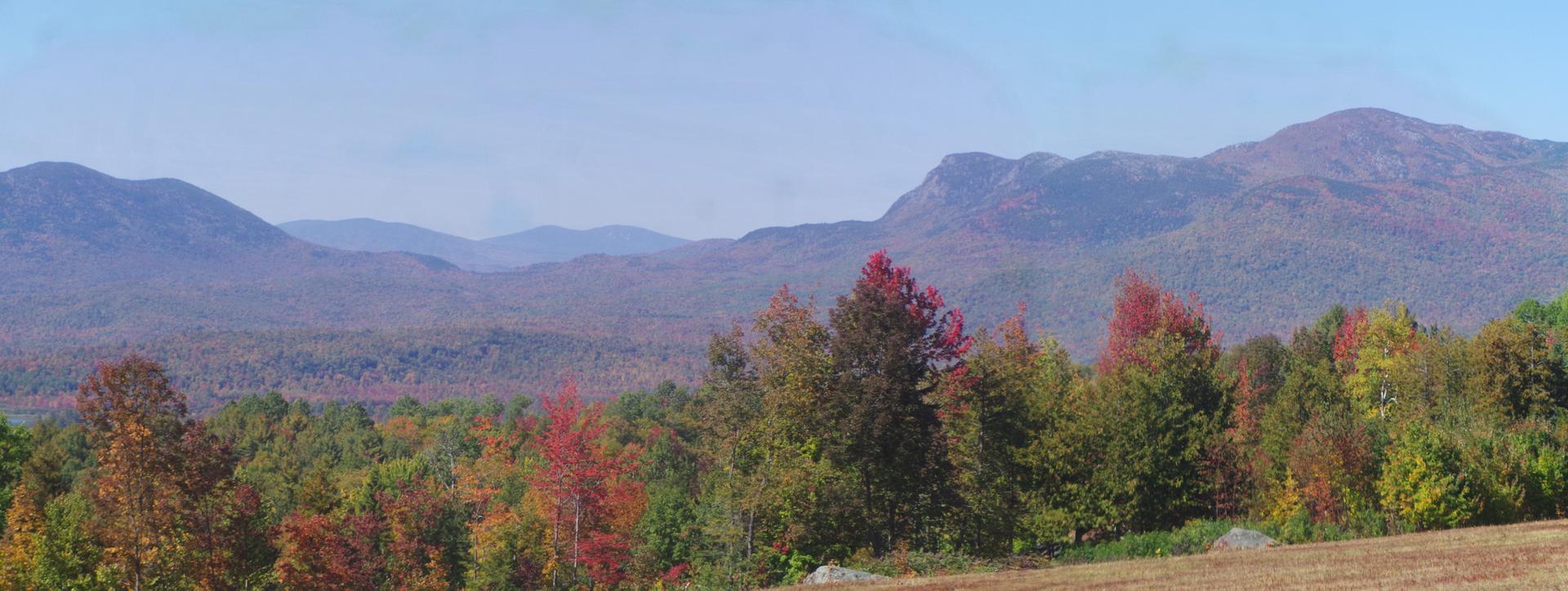 Panoramic view of mountains and colorful autumn trees under a clear sky.
