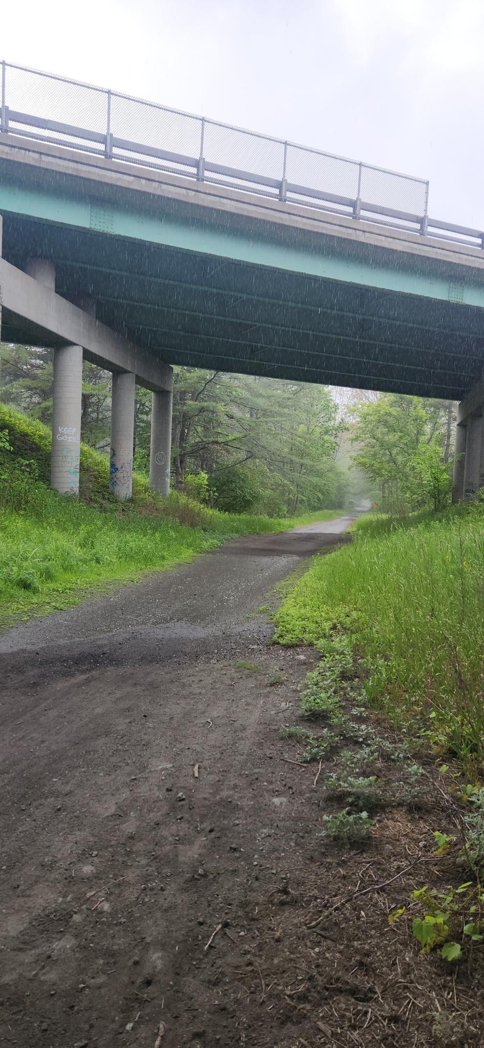 Dirt path under a concrete bridge with green foliage on an overcast day.