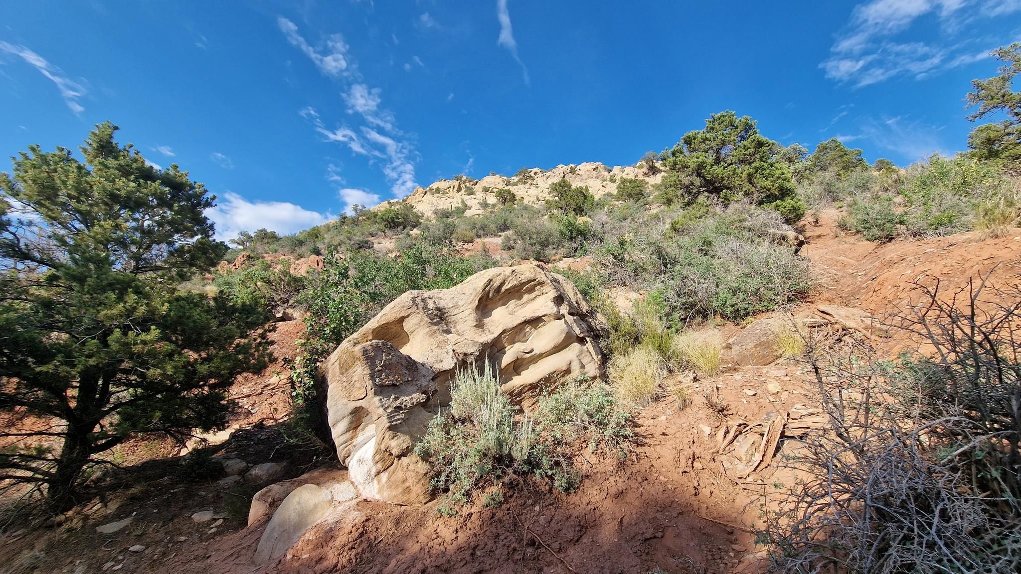 A large textured rock sits on a sunny, arid hillside under a blue sky. - 13th Hole Trail via Razorback Wash Trail loop