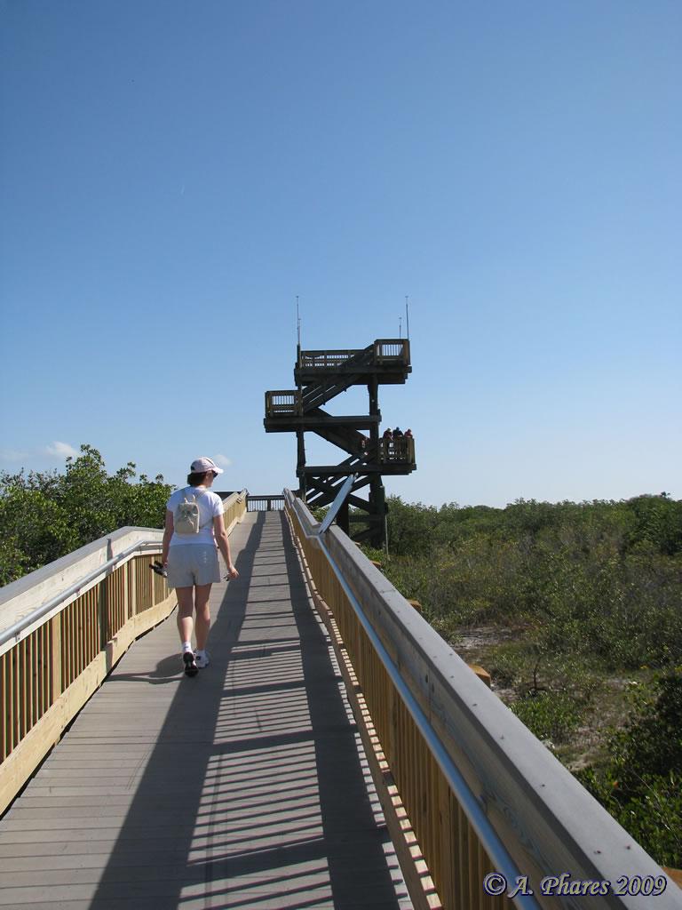 Person walks on a long boardwalk towards a tall wooden observation tower.