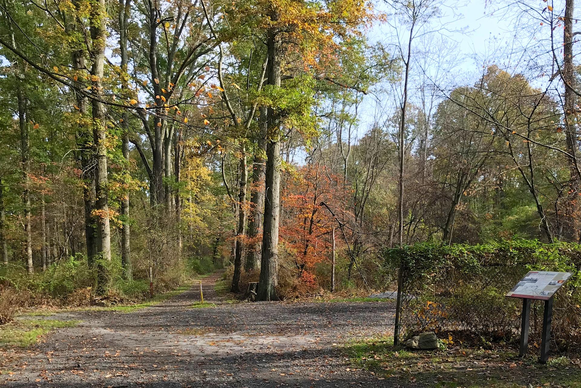 A gravel path enters an autumn forest with an information sign.
