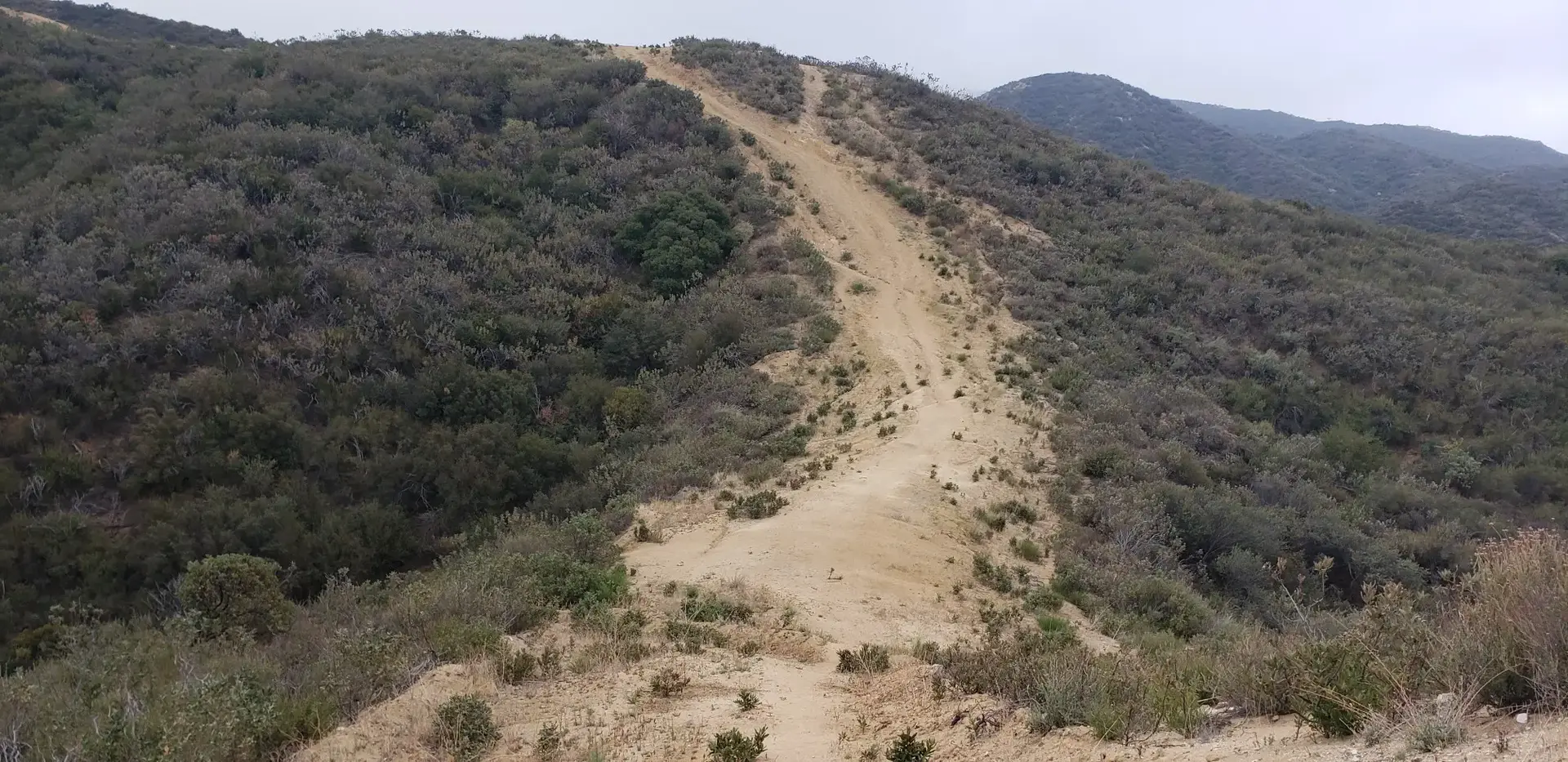 Steep, wide dirt trail climbing a brush-covered hill under an overcast sky.