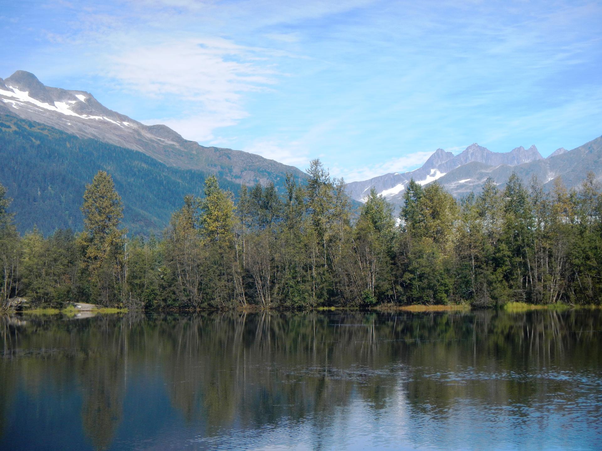 A serene lake reflects evergreen trees and distant snow-capped mountains.
