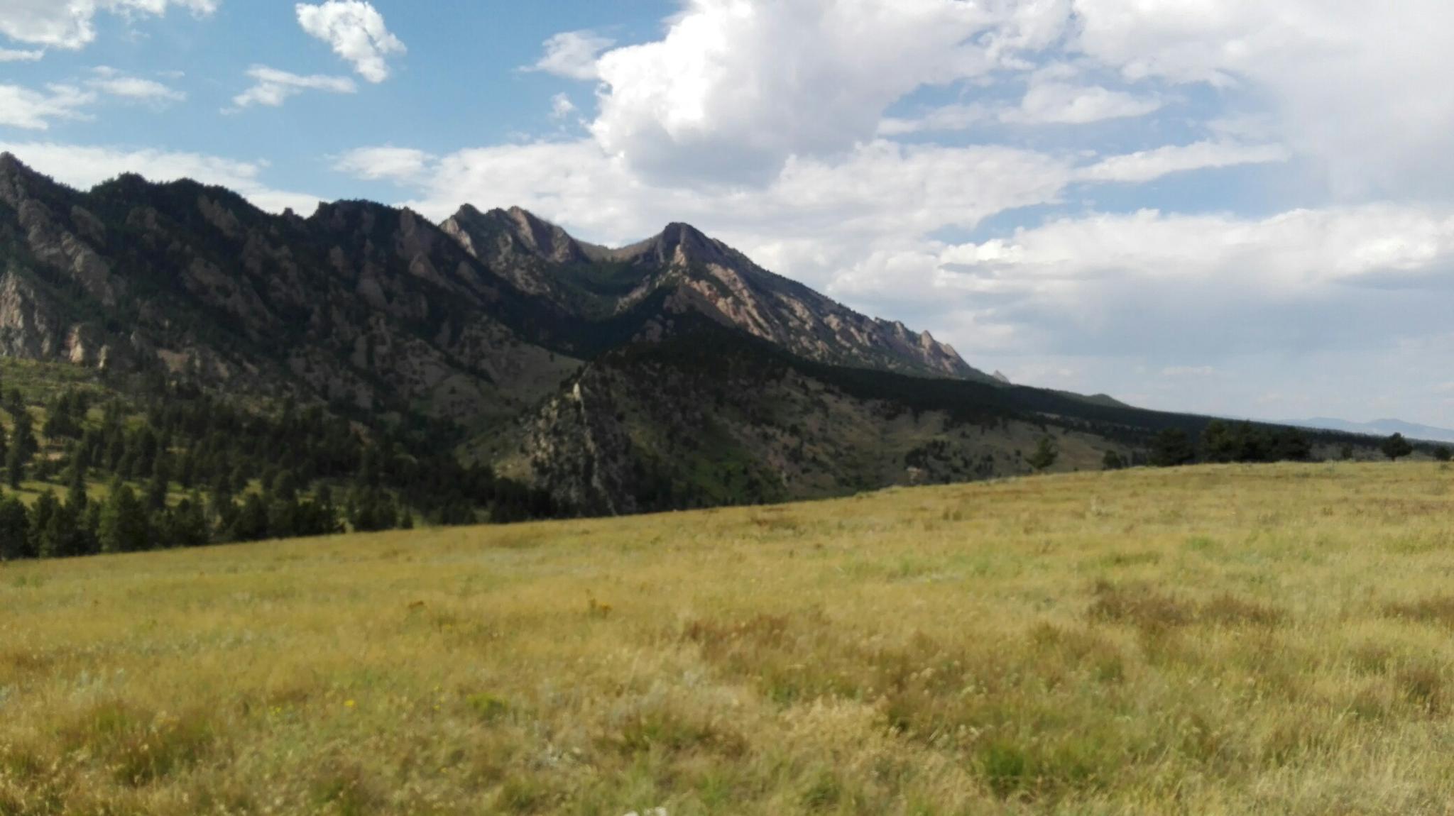 Wide view of a grassy field with a rugged mountain range behind it.
