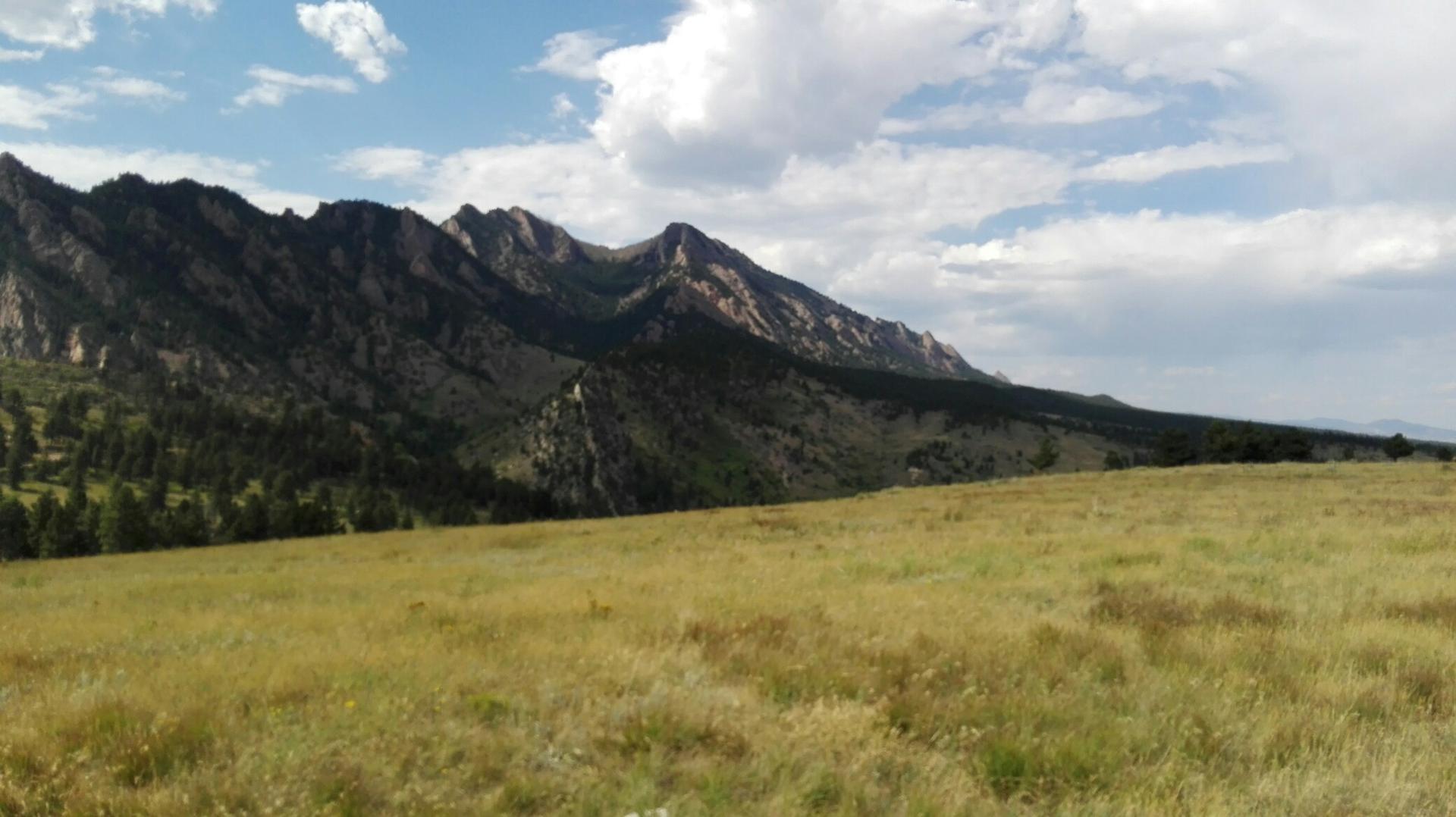 Wide view of a grassy field with a rugged mountain range behind it.