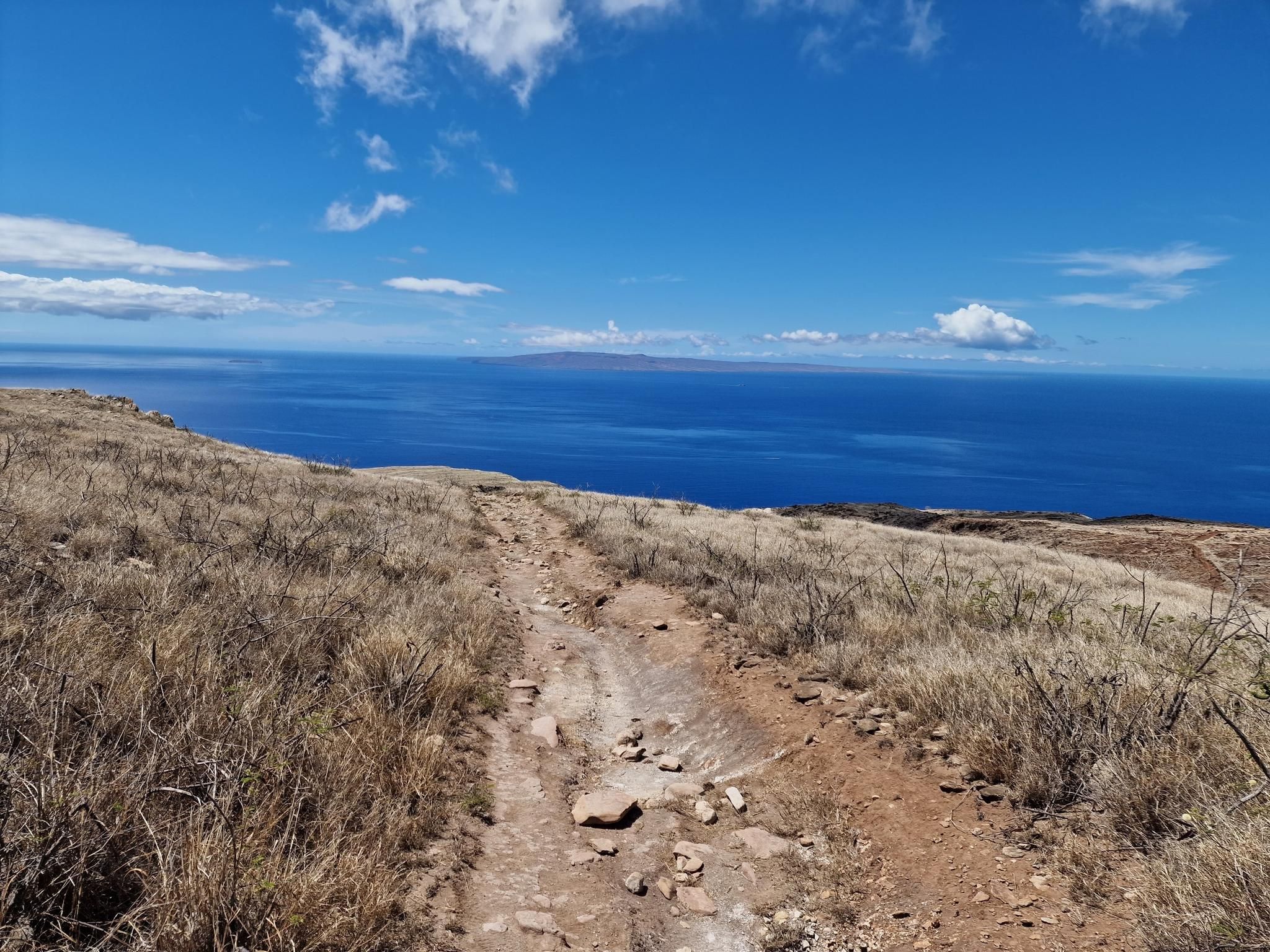 Dirt path through dry grass on a hillside, bright blue ocean in sunlight. - Lahaina Pali Trail