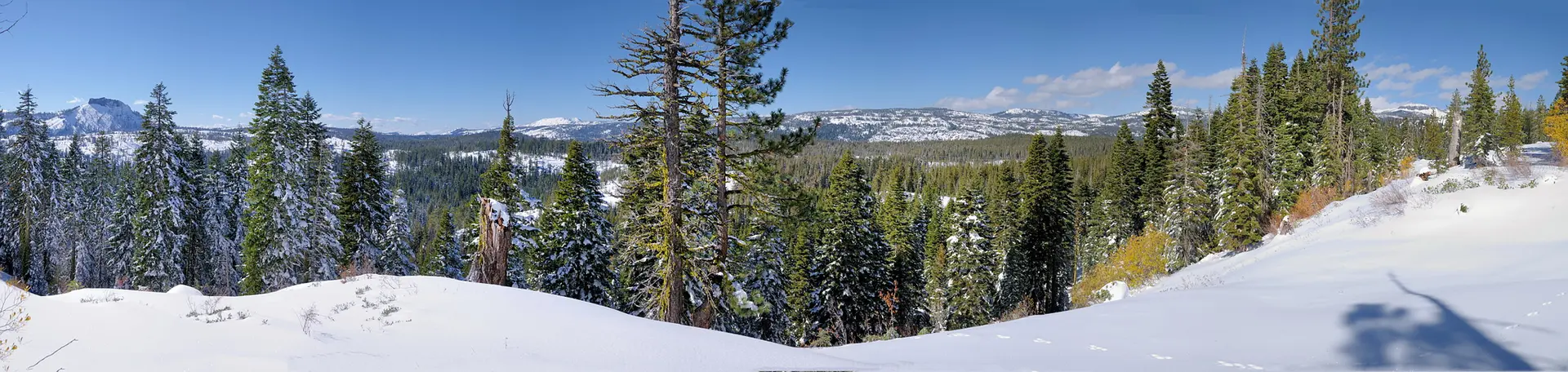 Panoramic view of a snow-covered forest and distant mountains under a bright blue sky.