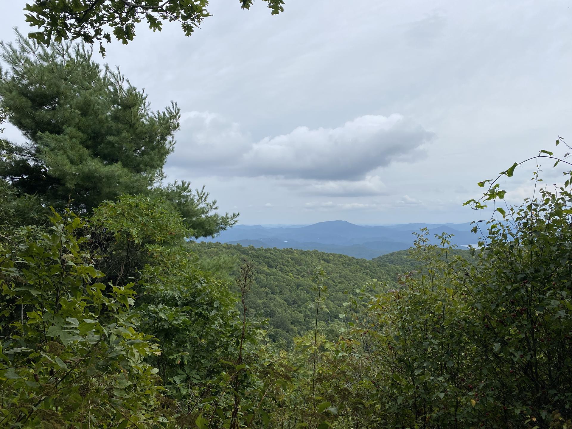 Panoramic view of lush green mountains under a cloudy sky.