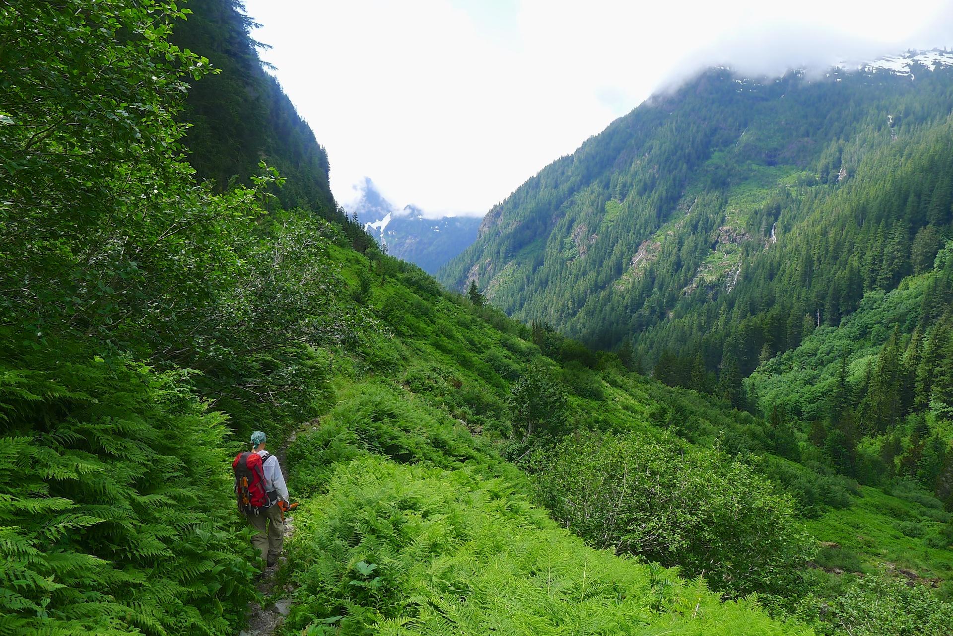 Hiker with red pack walks through a lush green mountain valley.