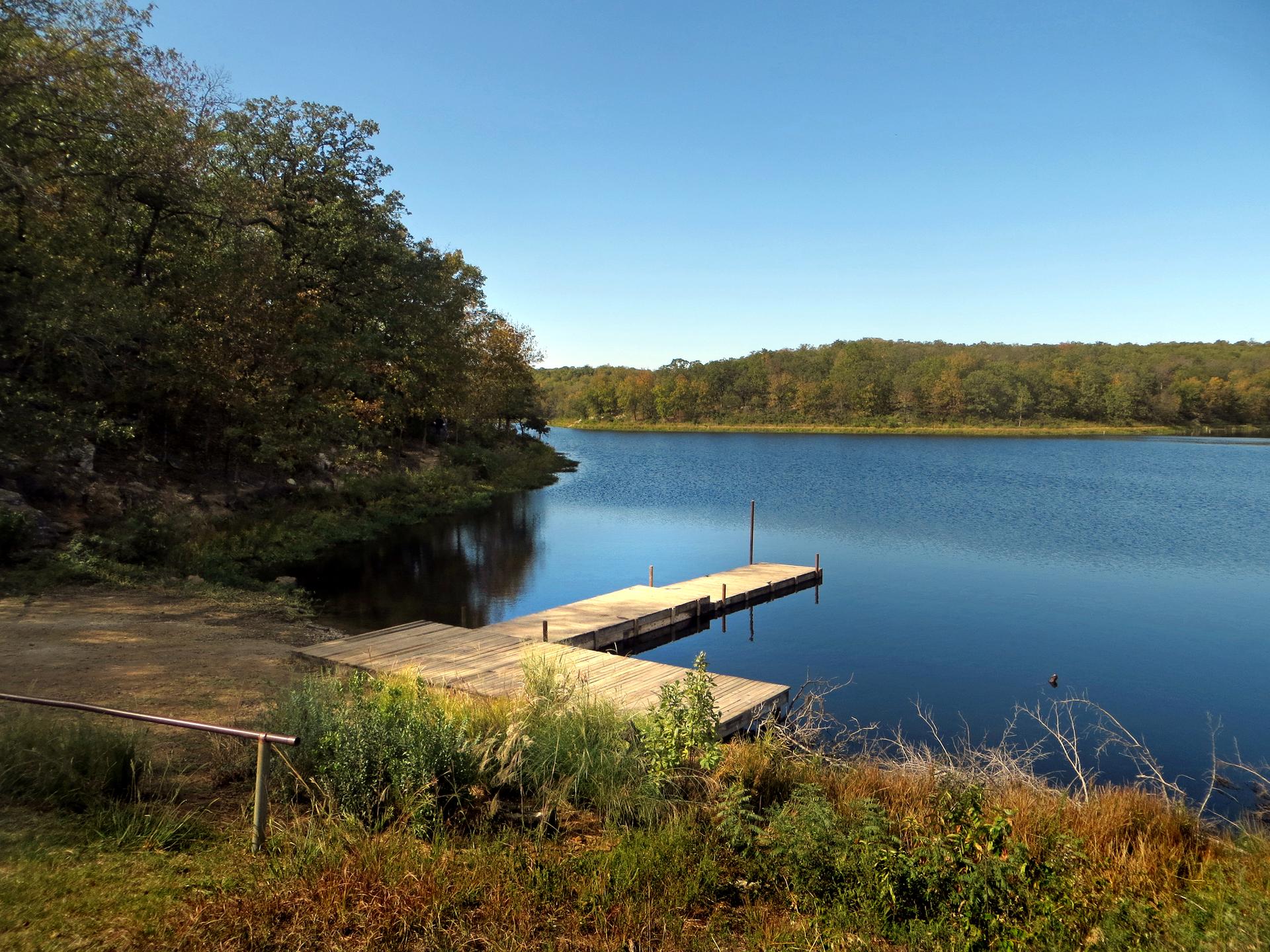 Serene lake with a wooden dock, surrounded by lush trees under a clear sky.