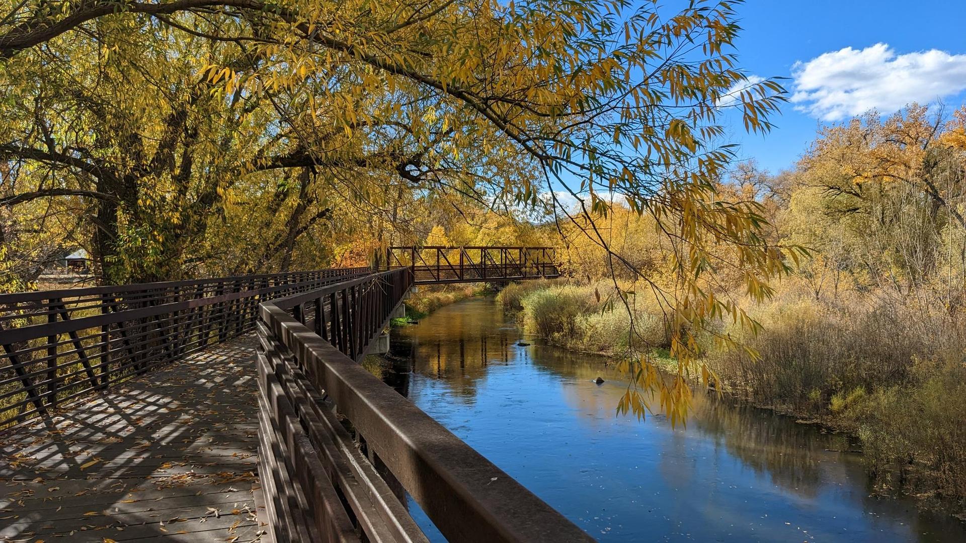 Sunny autumn day with a boardwalk over a river surrounded by yellow trees.