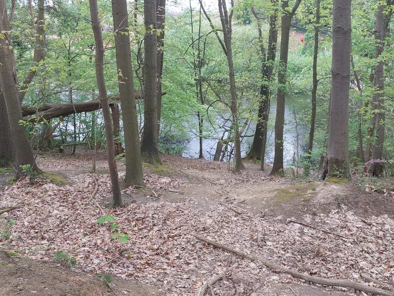 Weg zum Teich Teich alter Sandsteinabbau Runde von Meldert