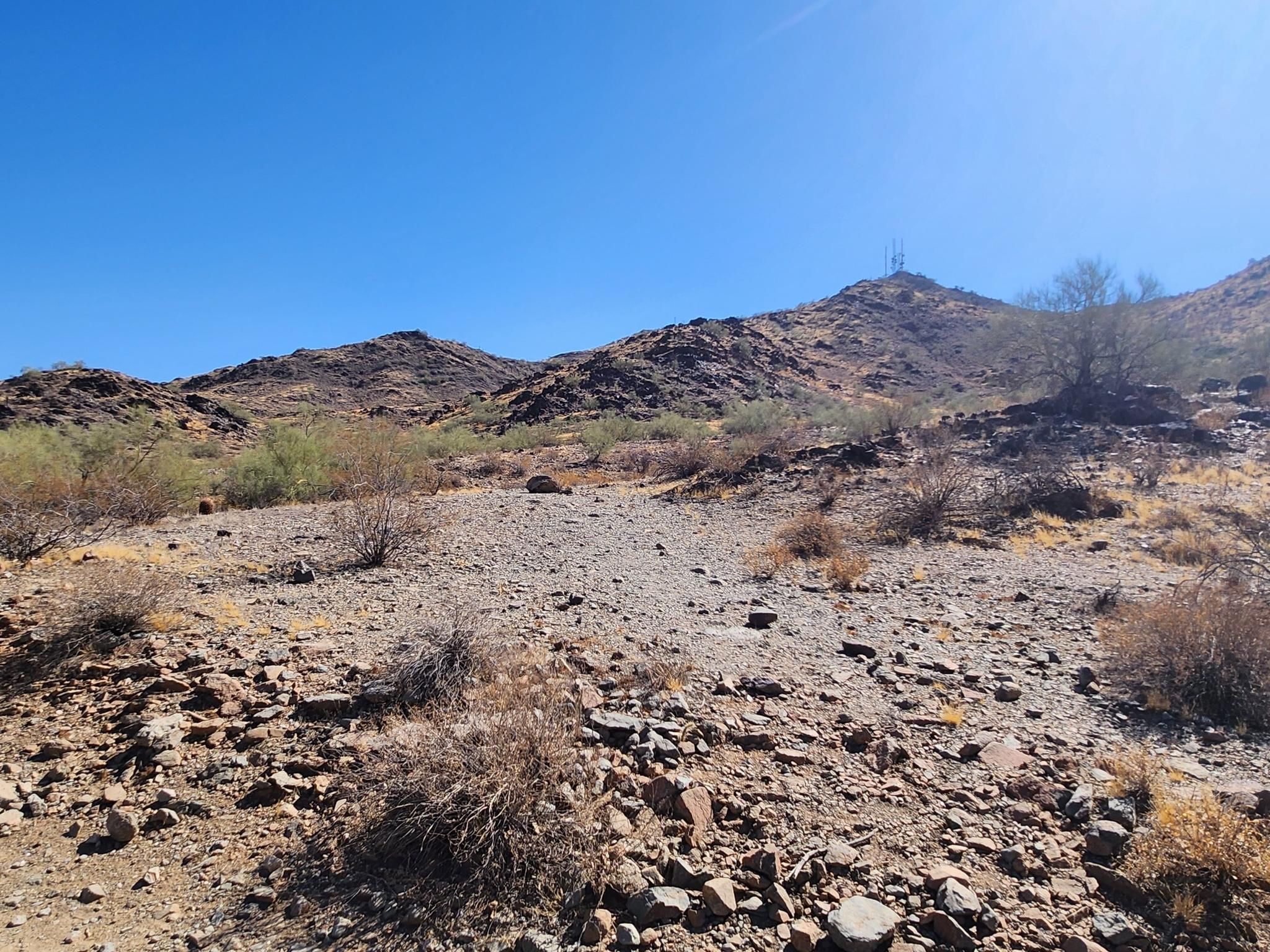 Rocky desert terrain with sparse vegetation under a bright blue sky and distant mountains. - Charles M. Christiansen Trail 100