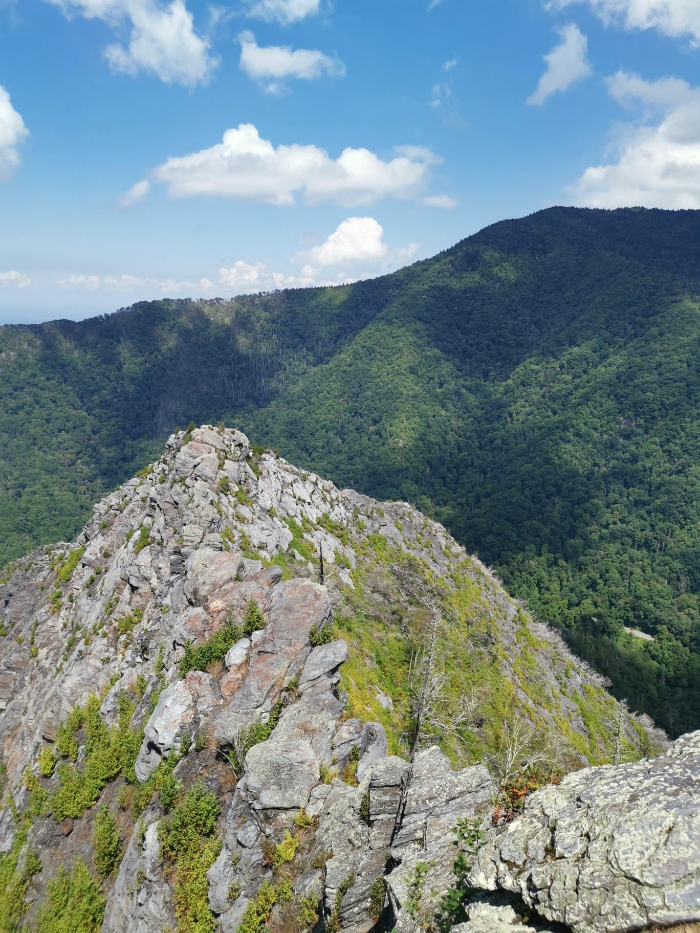 Rocky mountain ridge with green foliage under a bright blue sky.