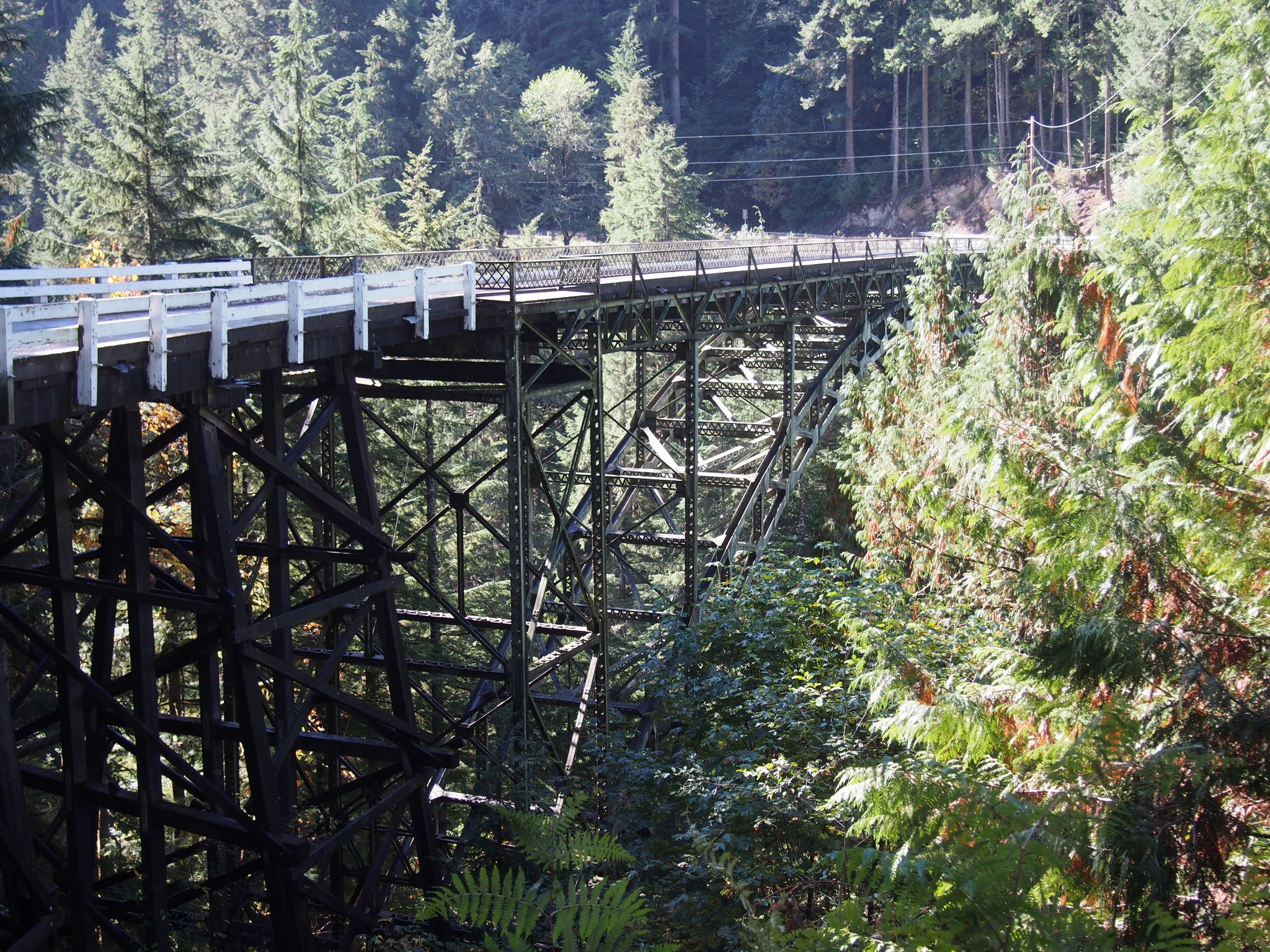 A long metal bridge with white railings spans a dense green forest. - Melmont Ghost Town Trail