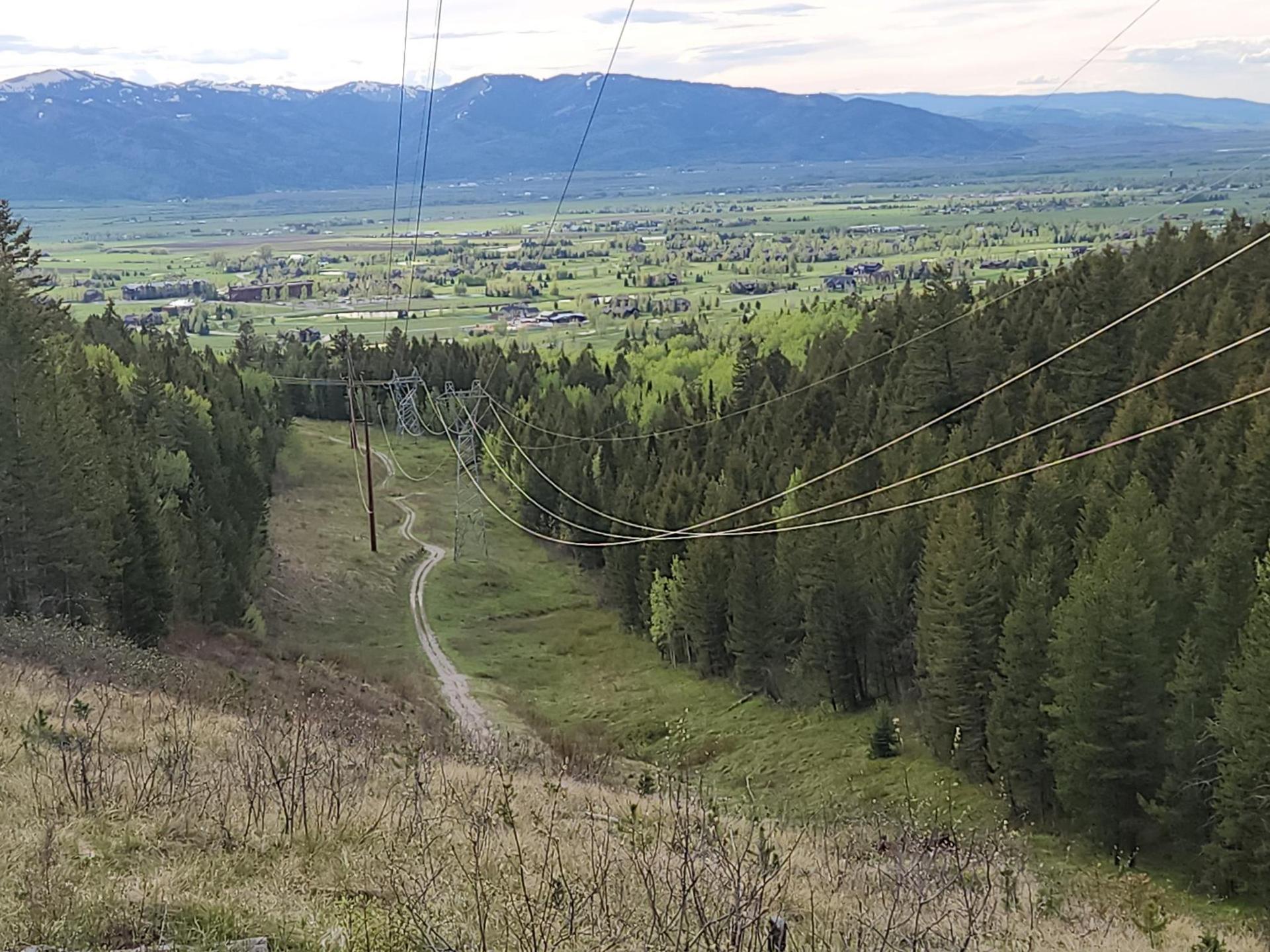 Power lines stretch over a forested valley with a winding dirt path.