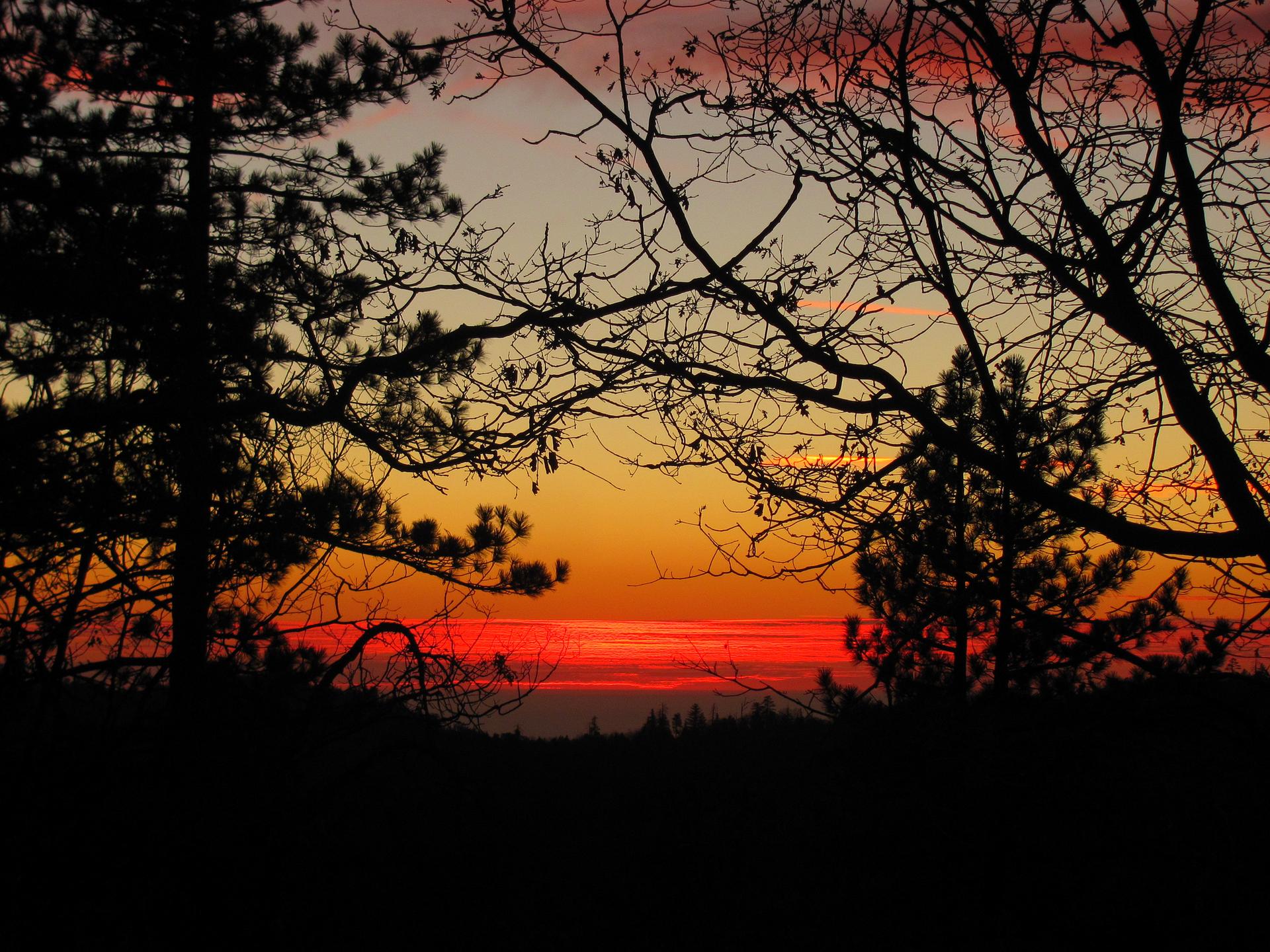 Silhouetted trees against a vibrant orange and red sunset sky.