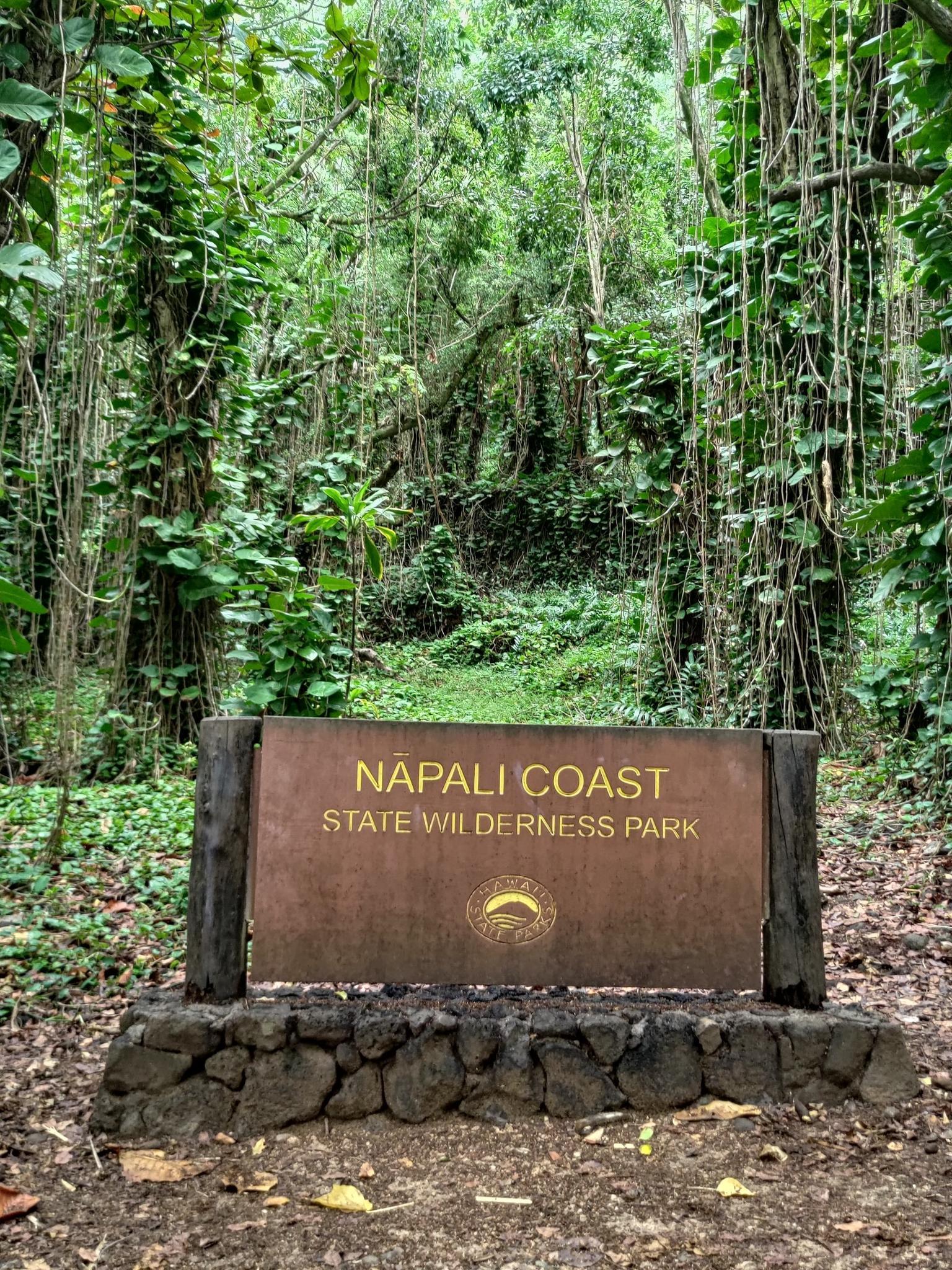 Wooden sign on a dirt path in a dense, vine-covered tropical forest.