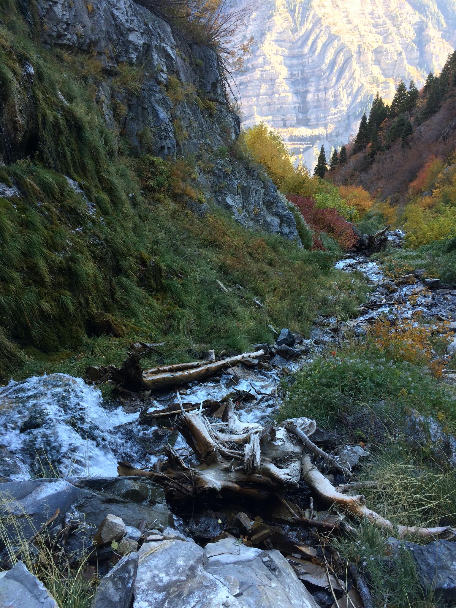 Mountain stream cascading over rocks and fallen logs in a colorful autumn canyon.