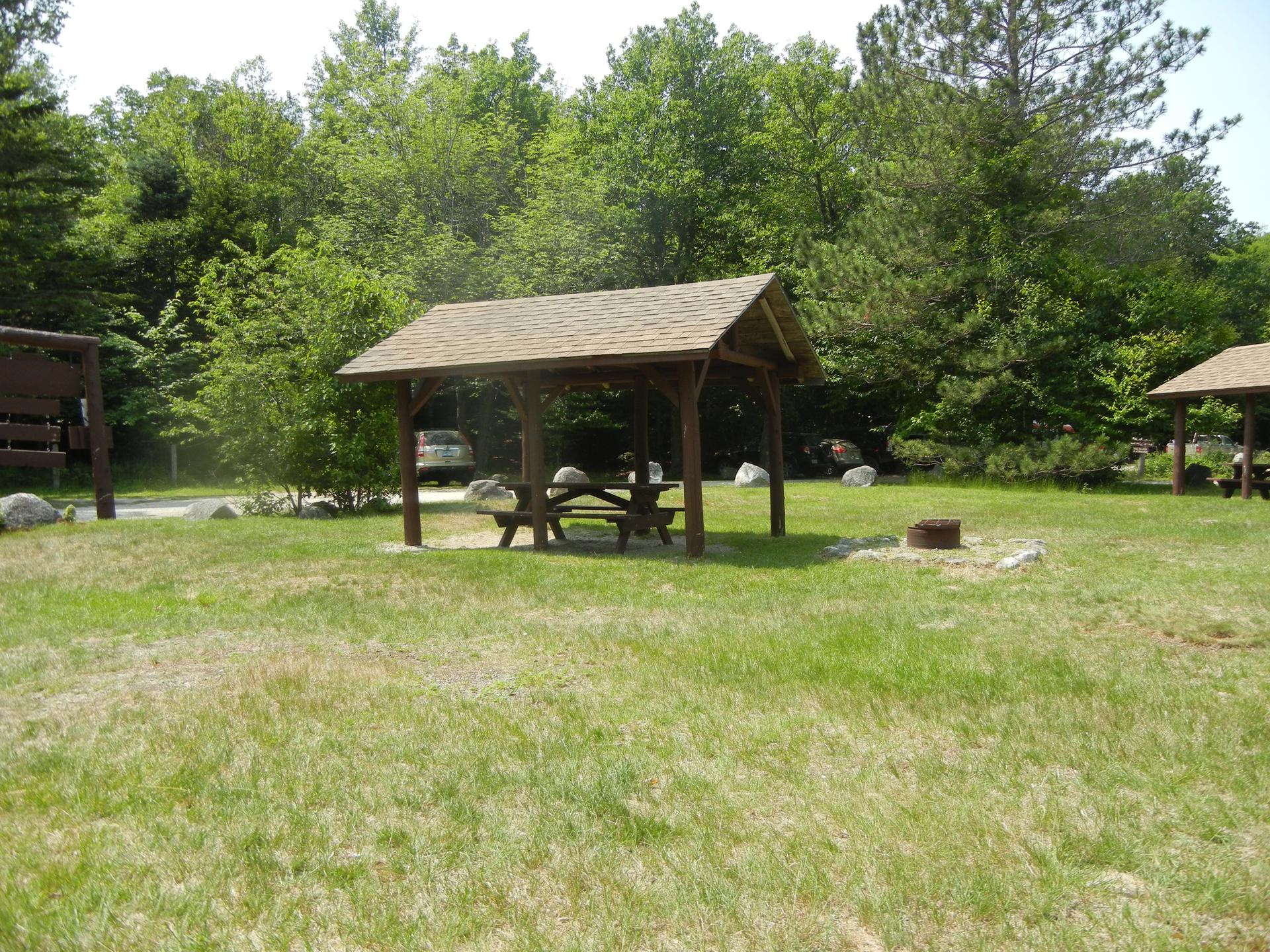 A wooden picnic shelter with a table in a sunny grassy clearing surrounded by trees.