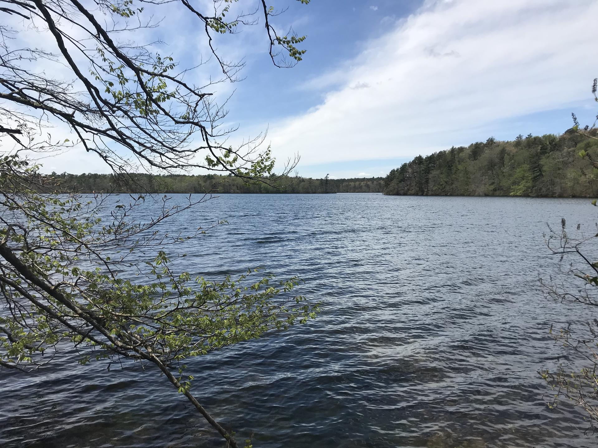 Wide lake with trees framing the view under a partly cloudy sky.